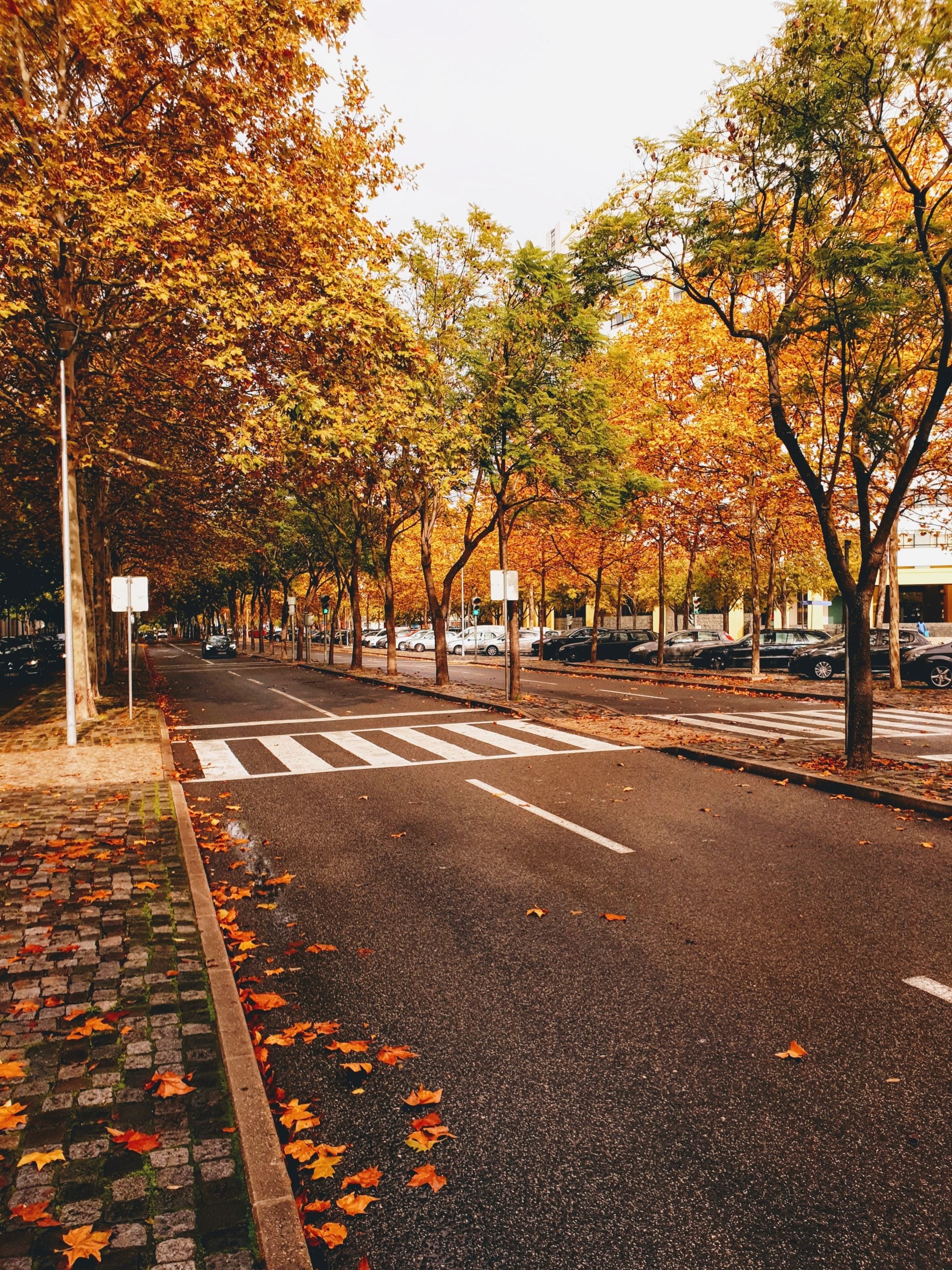 Herbstführer zu Lissabon: Herbstaktivitäten in Lissabon 2022