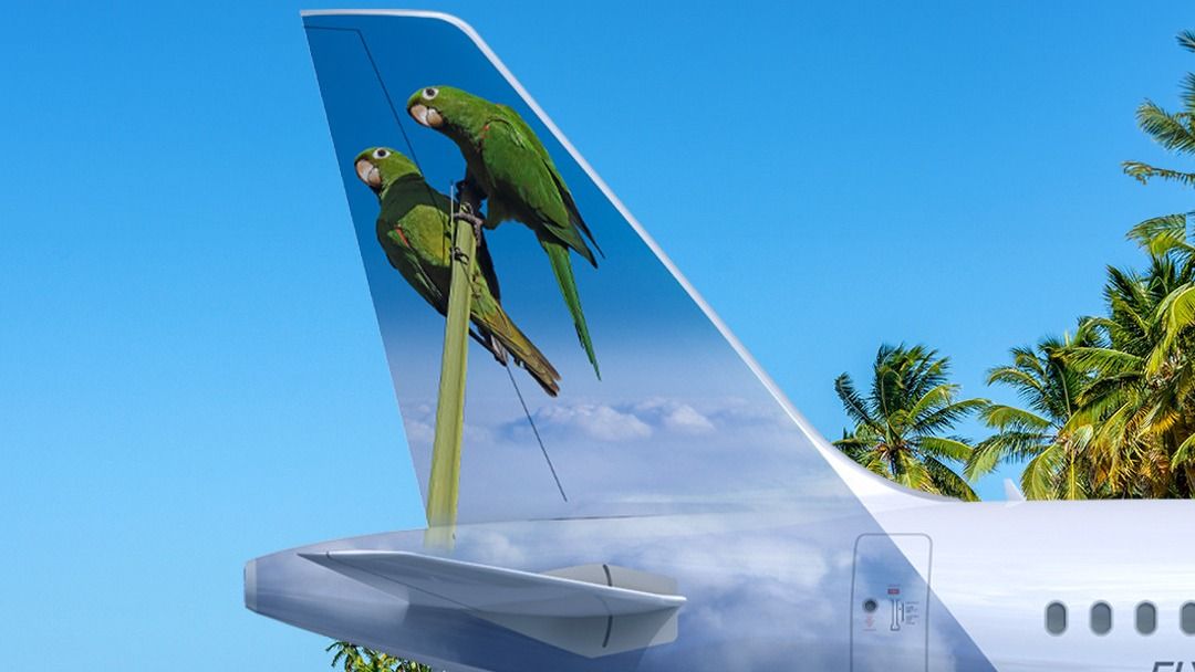 Warum Frontier Airlines 2 Sittiche auf seiner neuen Airbus A321neo 