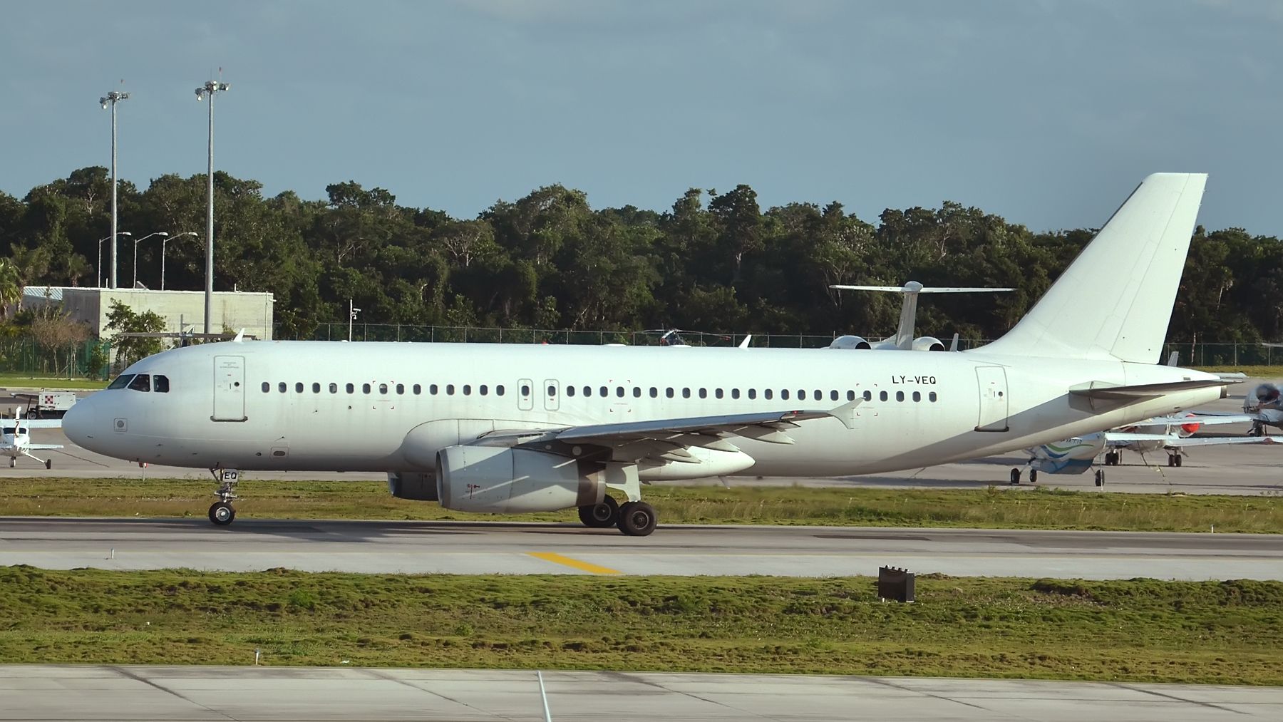 Weißes Schwanzflugzeug: Eine kurze Anleitung