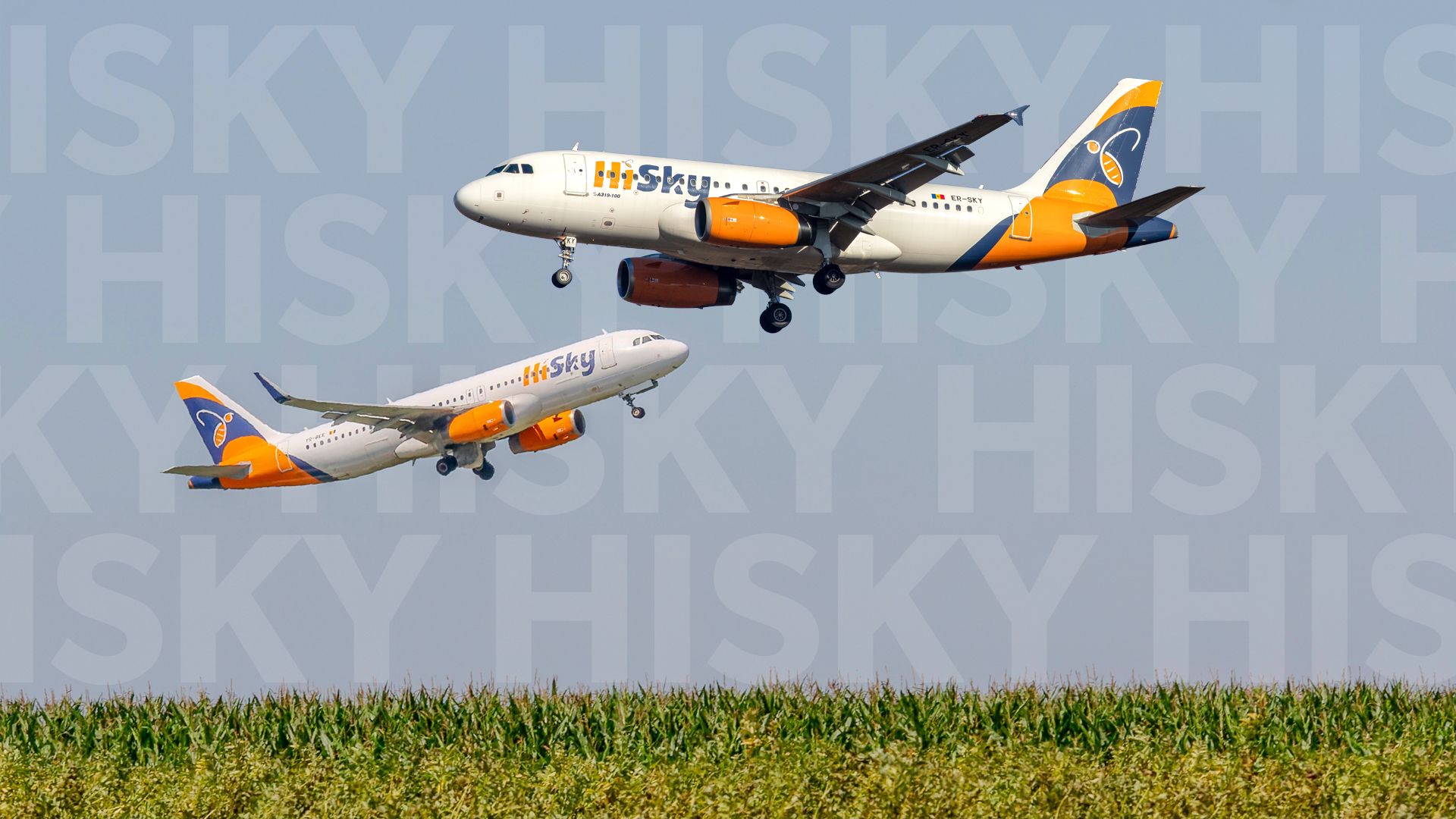 5 Dinge über Hisky, die Sie überraschen könnten