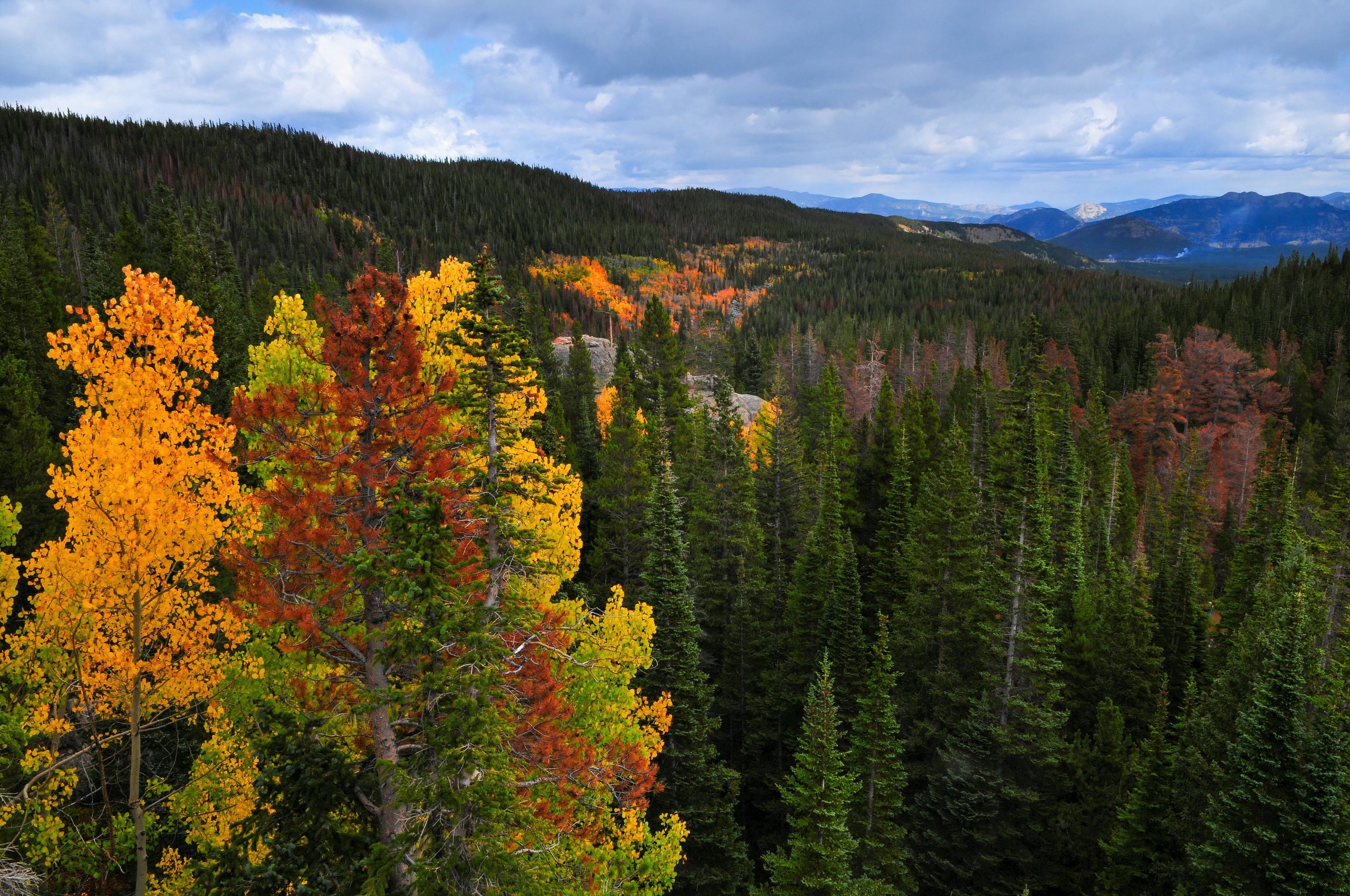 7 beste Städte in den Rocky Mountains für einen Herbstwochenende 