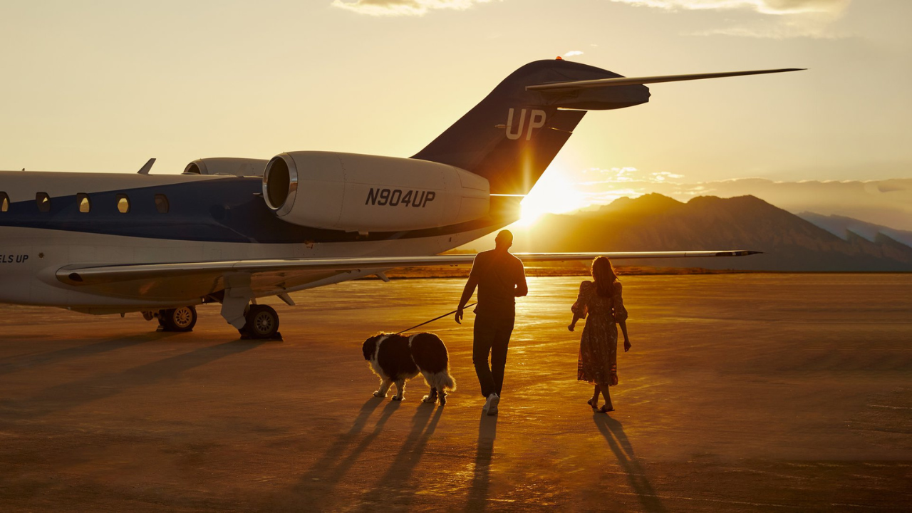 Warum könnten Delta 