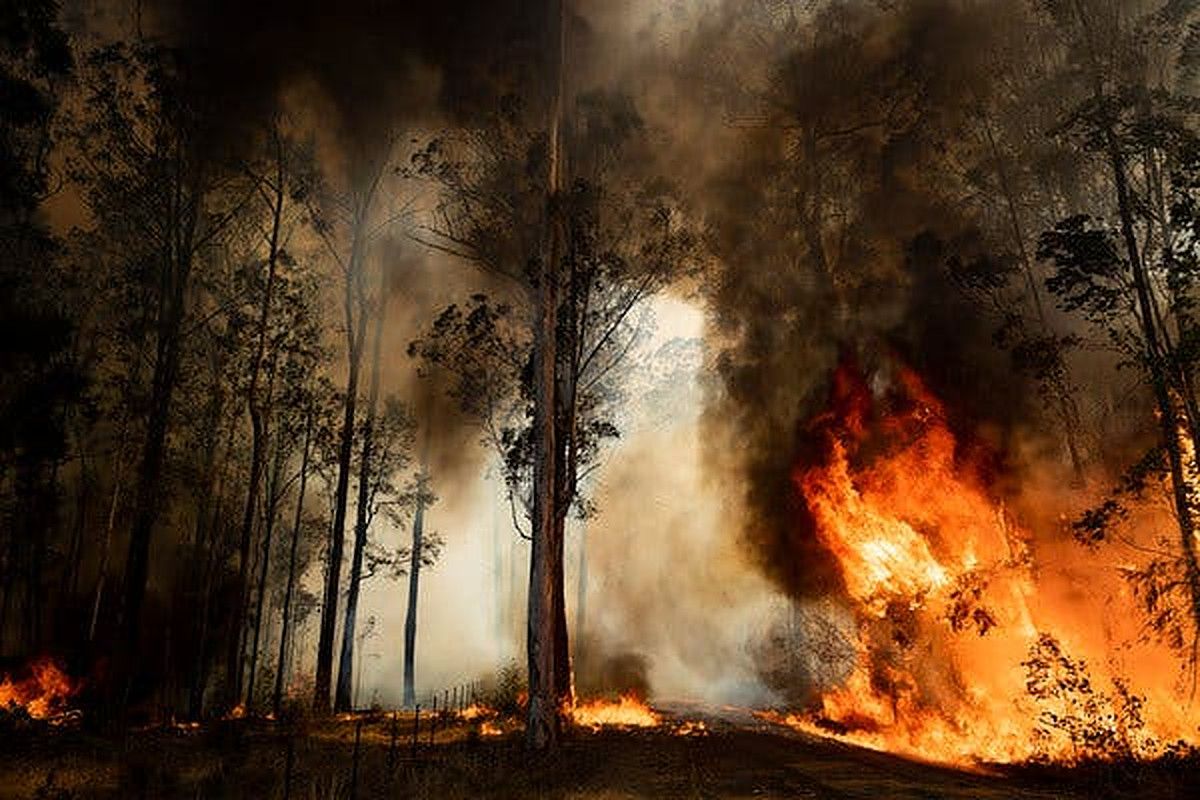 Eine kanadische Stadt brannte nach dem Brechen von Wärmerekorden zu Boden