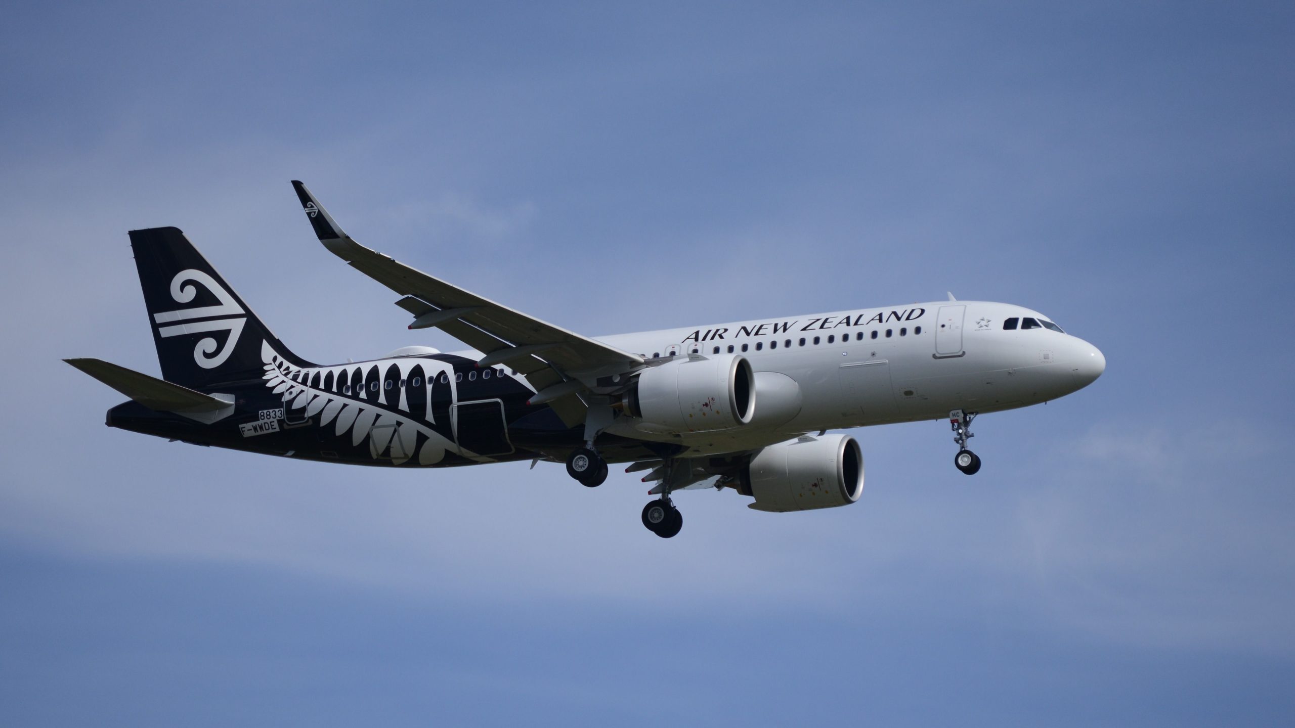 Air New Zealand Profit Nosteive und Boeing 787 Verzögerungen Hit Skynest Start
