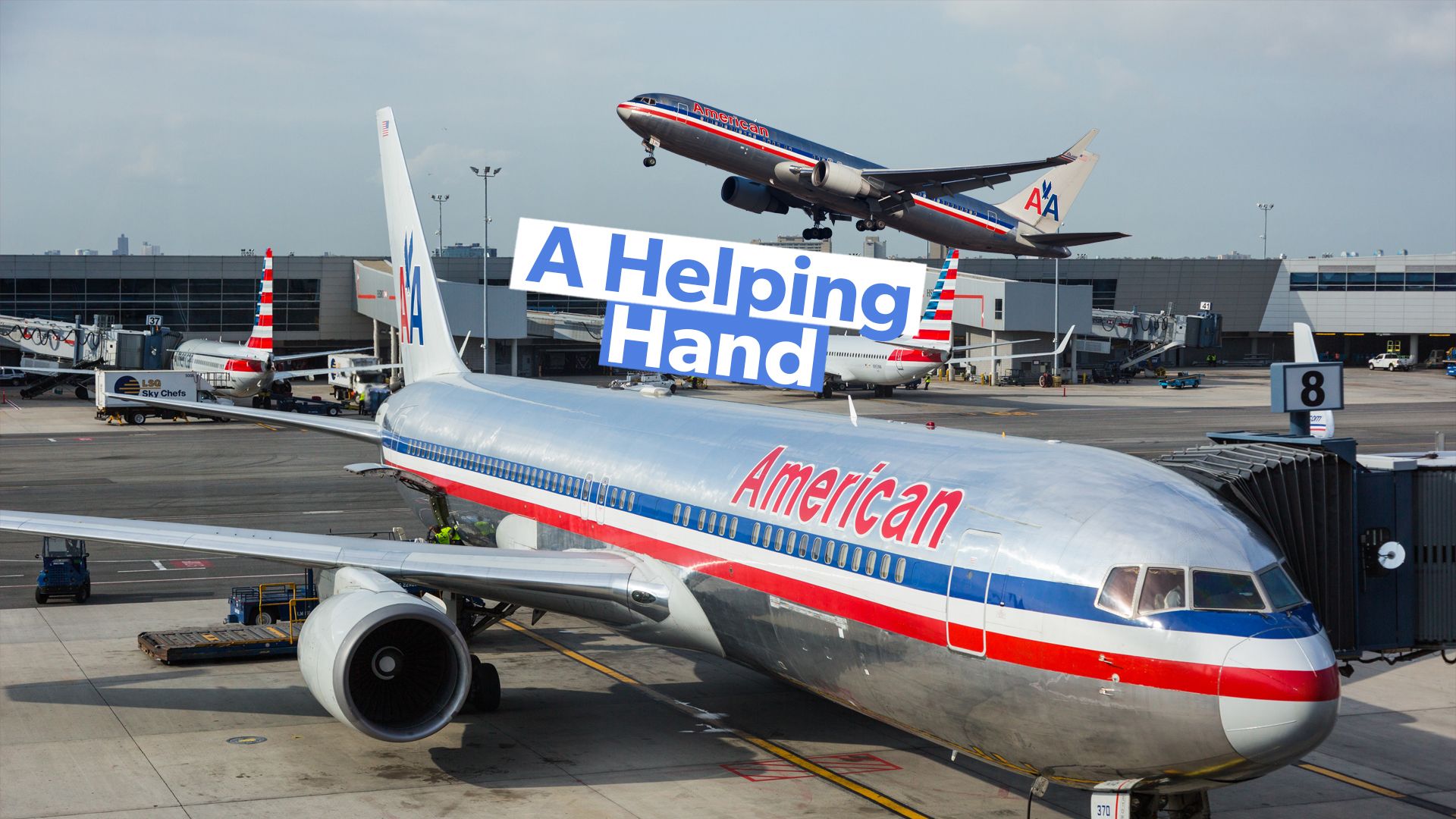 American Airlines Flug 1612: Eine Kabinenpersonalperspektive