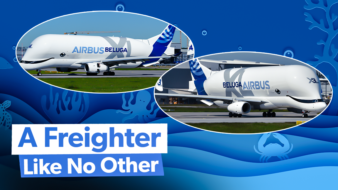 Analyse: Die Fakten und Zahlen, die den Airbus Belugaxl zu einem so beeindruckenden Frachter machen