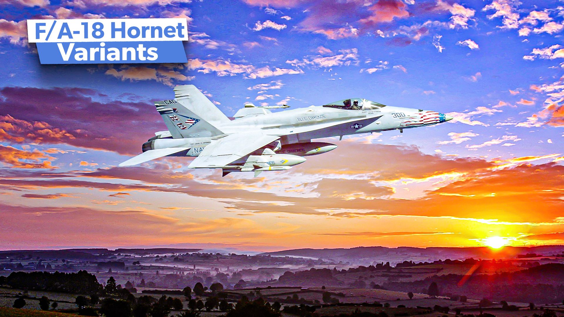 Ein tieferer Blick auf landgestützte Varianten und Operationen der US Navy F/A-18 Hornet