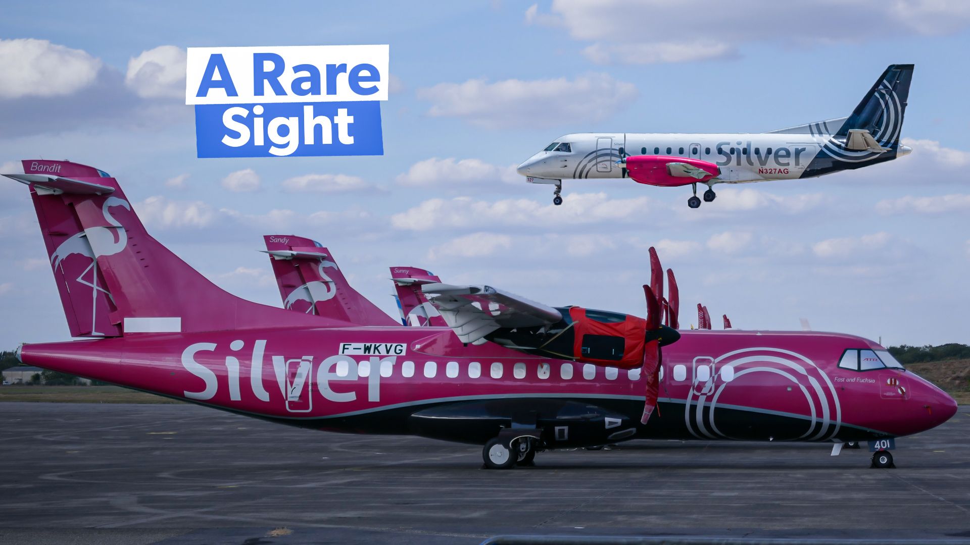 So verwenden Sie Ihre JetBlue TrubLue 