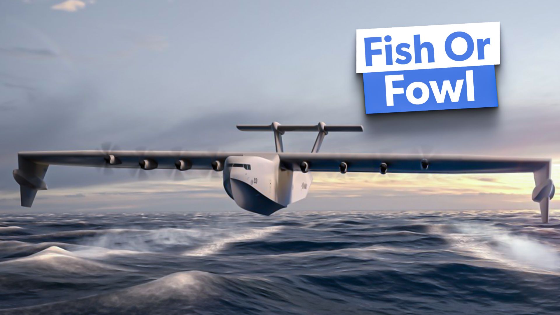 Fisch oder Geflügel: Was ist der Liberty Lifter und wie würde es für die US