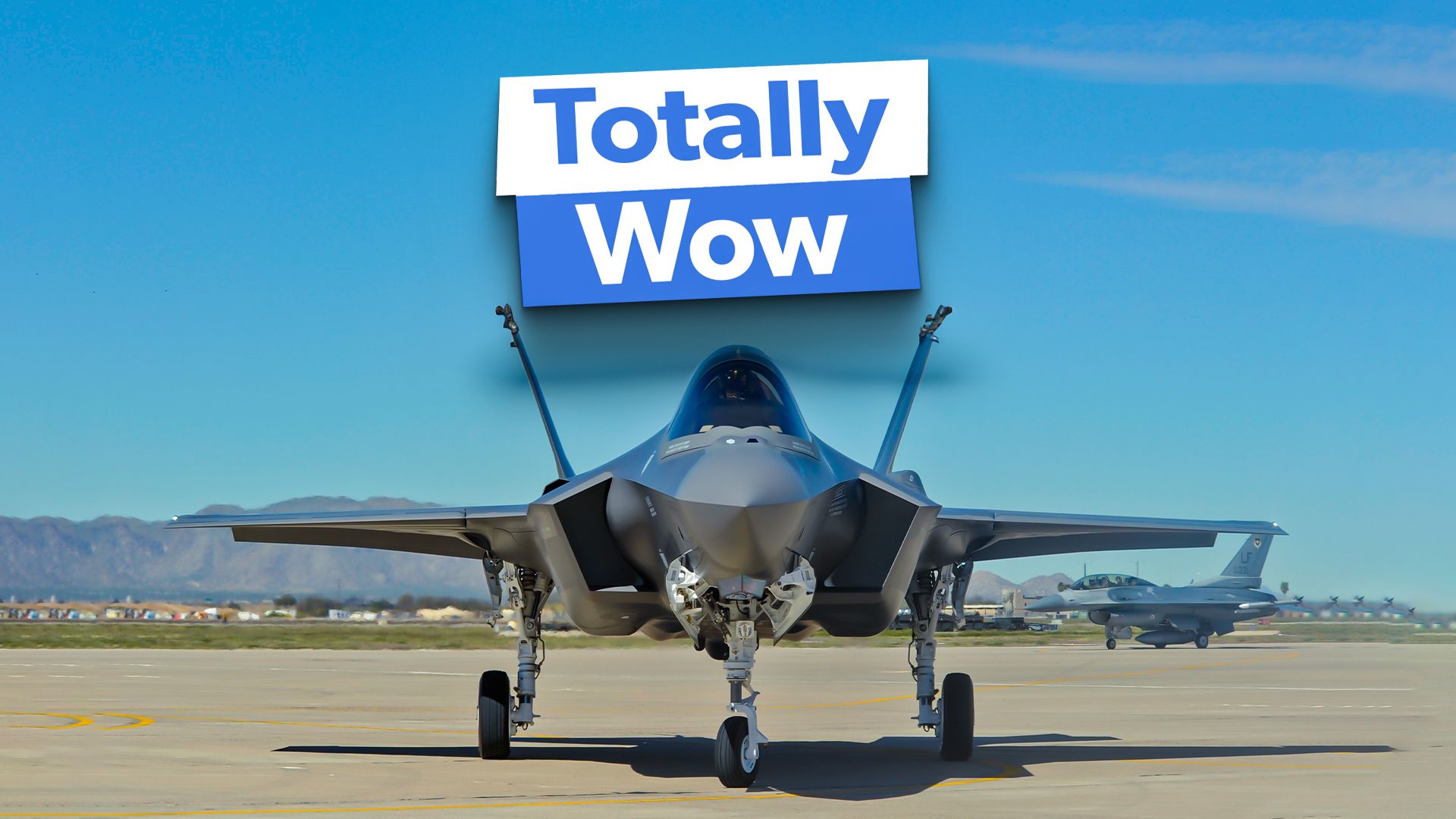 Ein Blick auf die Fluggesellschaften, an denen die Familie Tata beteiligt war