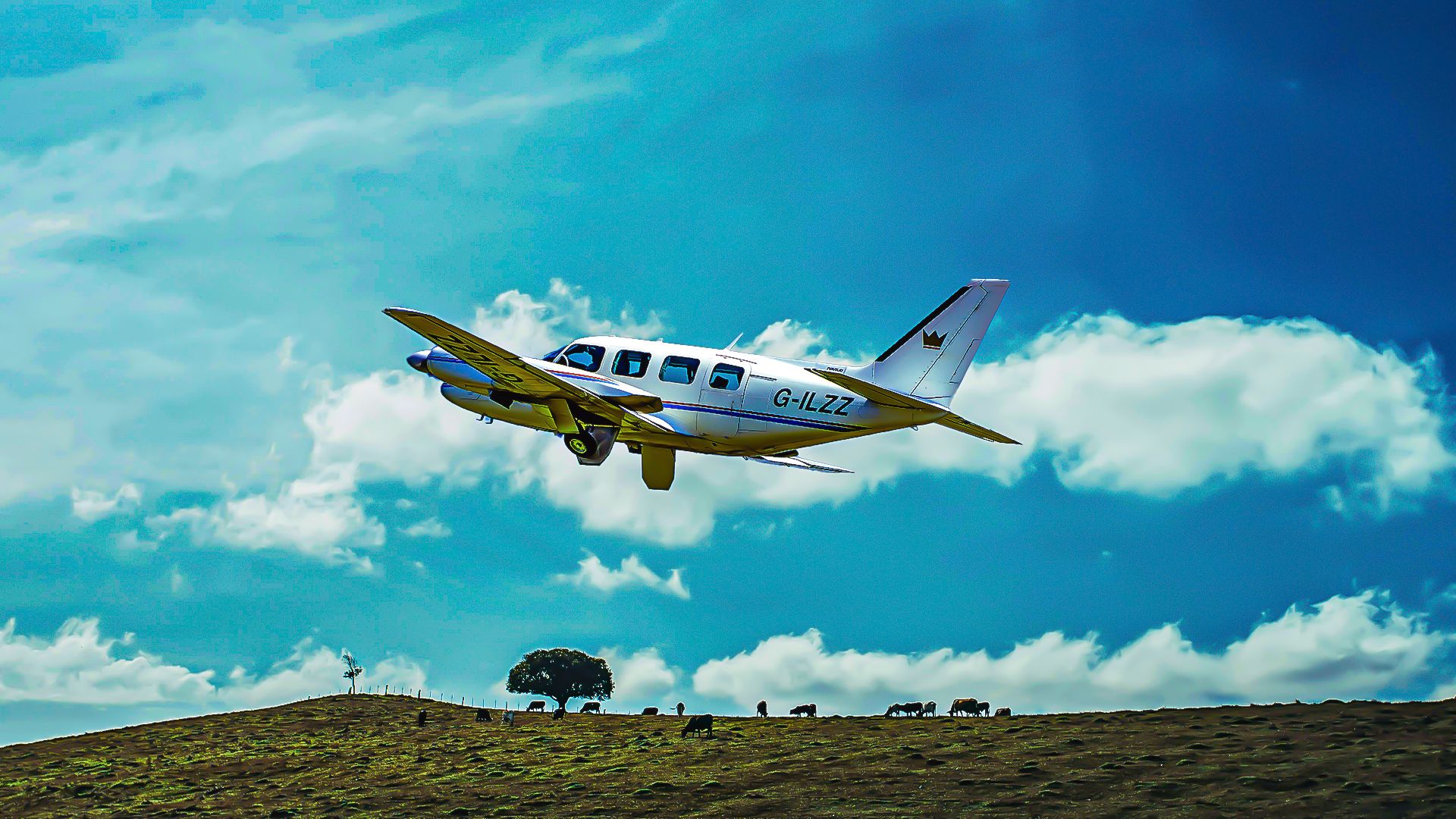 2 frische europäische Luftfahrtmenüs, die Sie weit fliegen möchten, um dort zu beißen