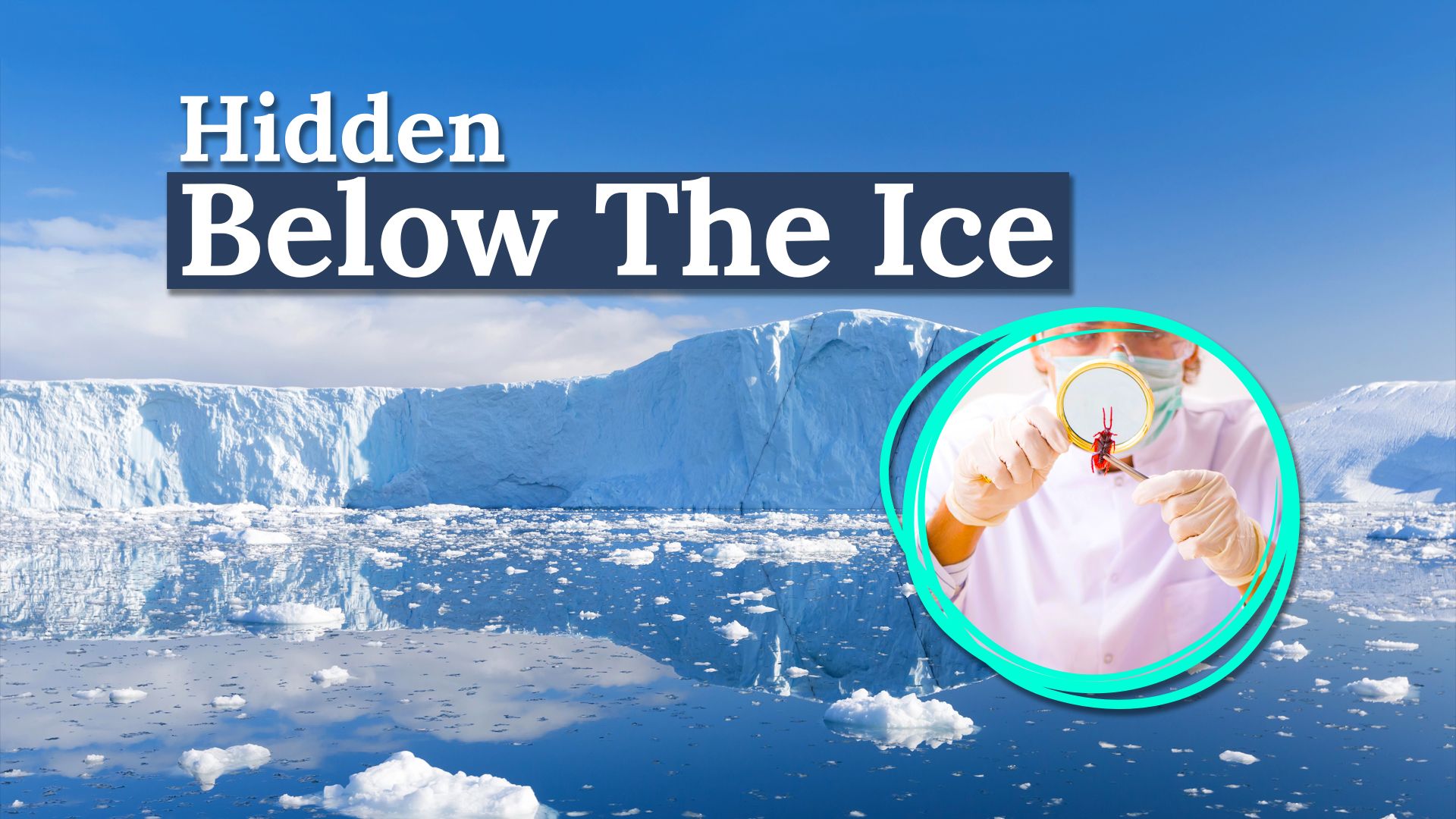 Das Chicago-Größe Eisberg brach aus der Antarktis ab und enthüllte eine überraschende Überraschung