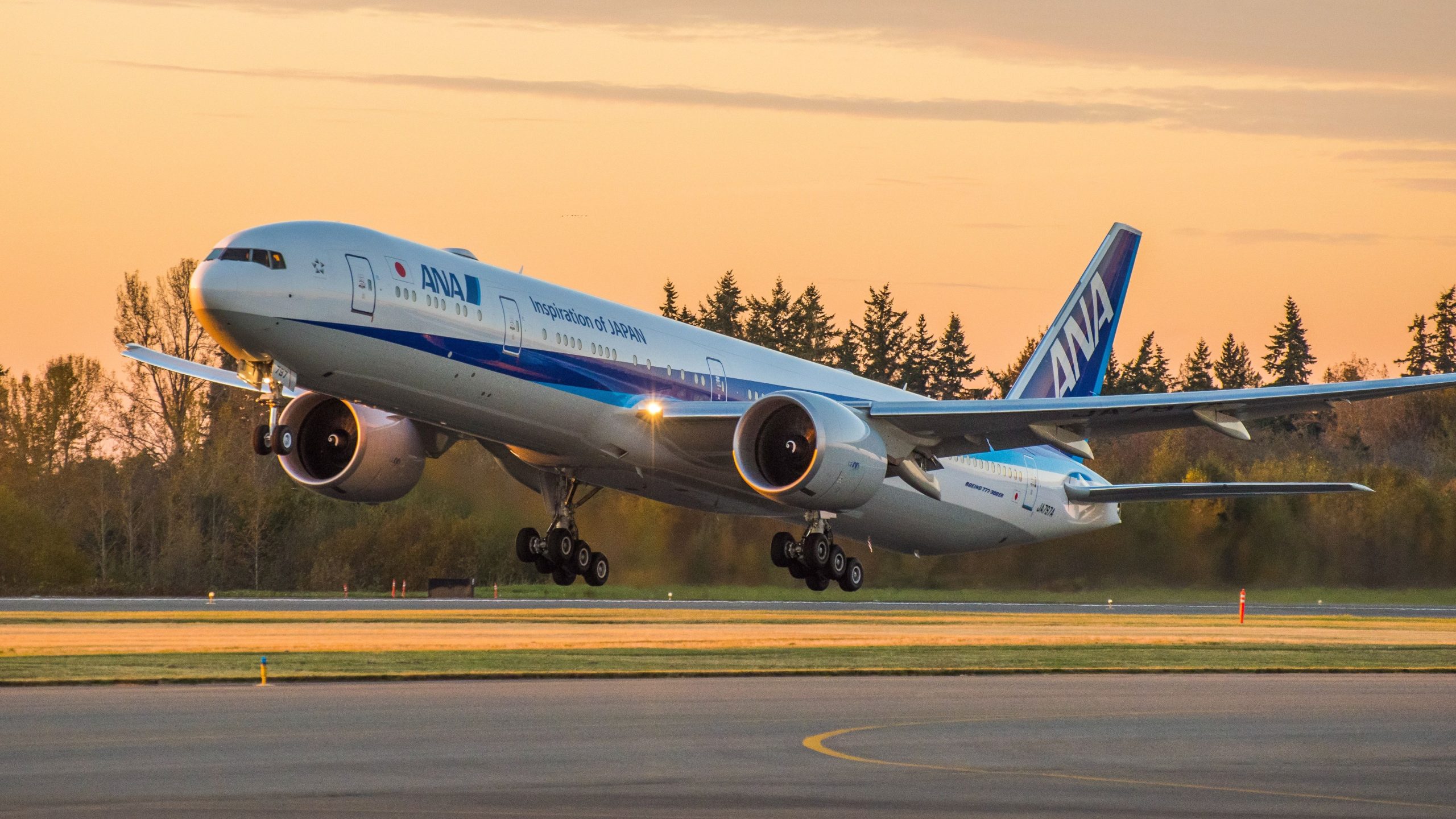 Alle Nippon Airways steigen vor und Tinten Ita Airways Codeshare