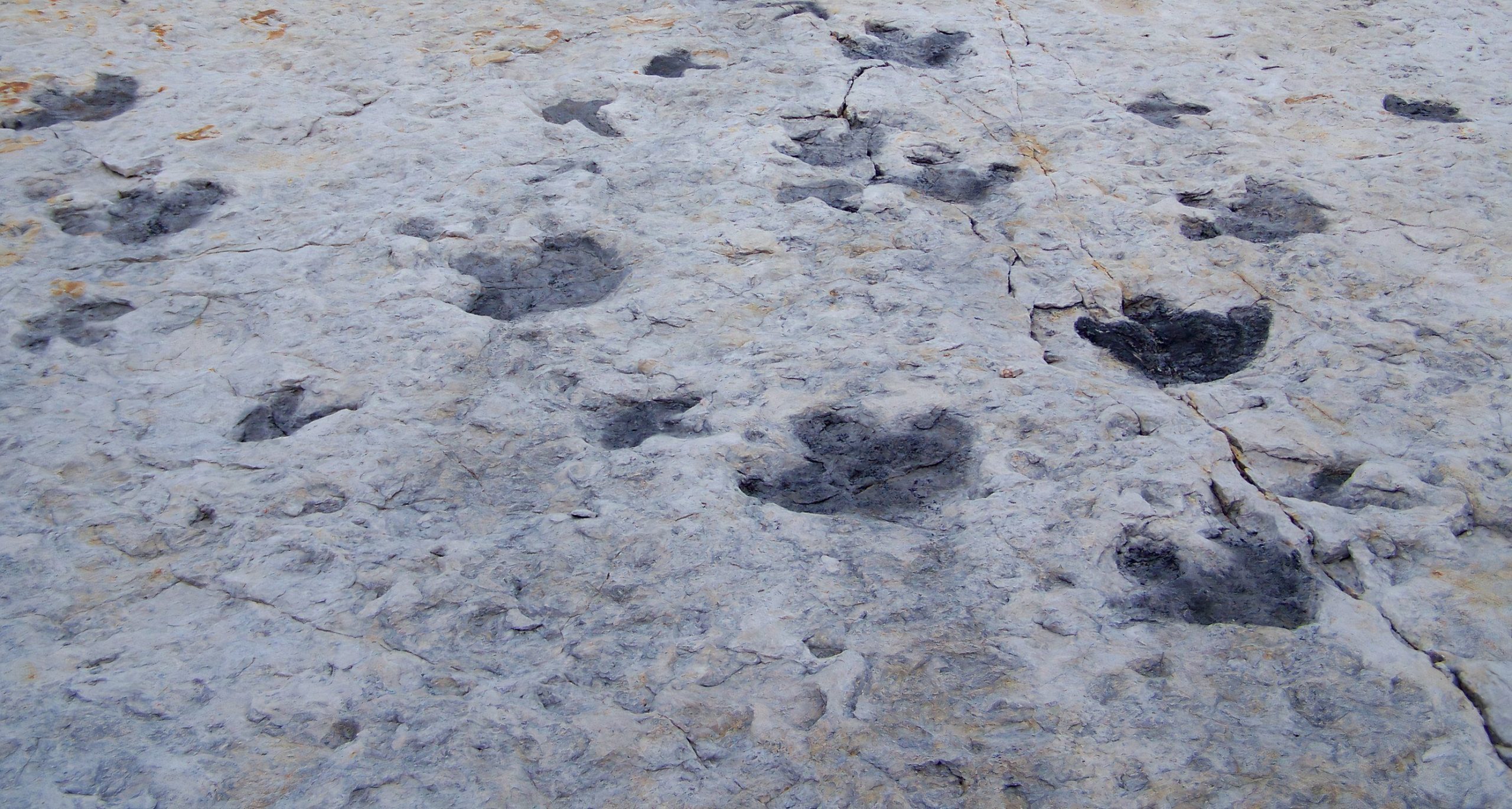 Seltsame „Beulen“ erweisen