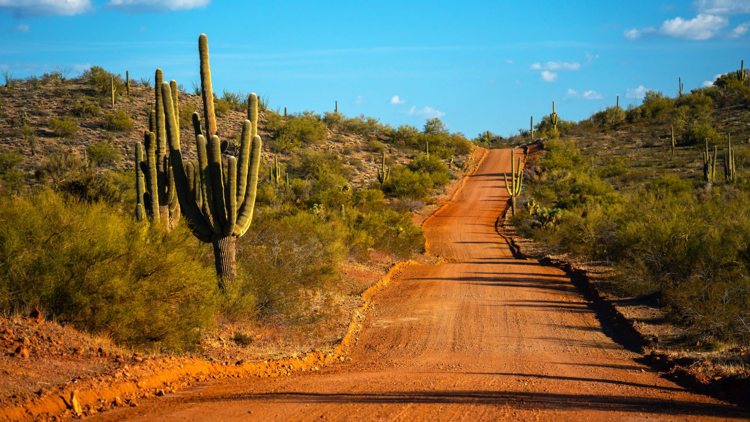 Warum diese Arizona Ghost Town voller verlassener Villen über Nacht verlassen wurde