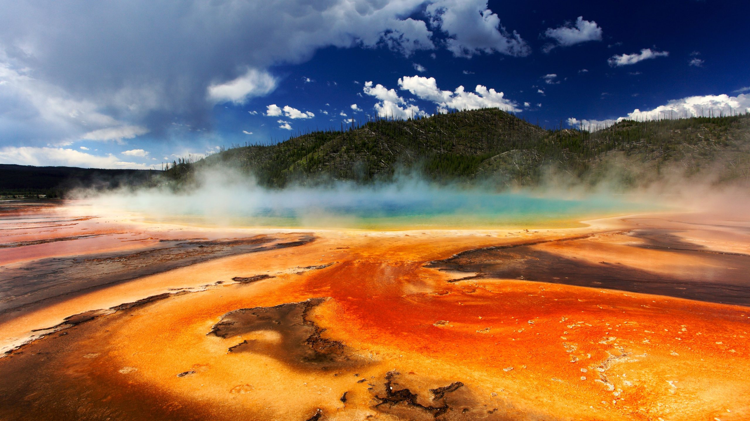 7 Parks, die wie ein Mini 