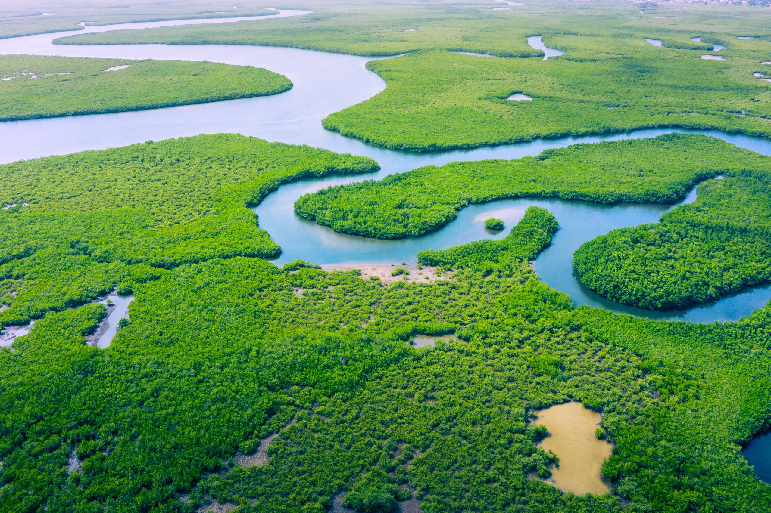 Archäologen waren schockiert, "verlorene Stadt" im Amazonas zu finden