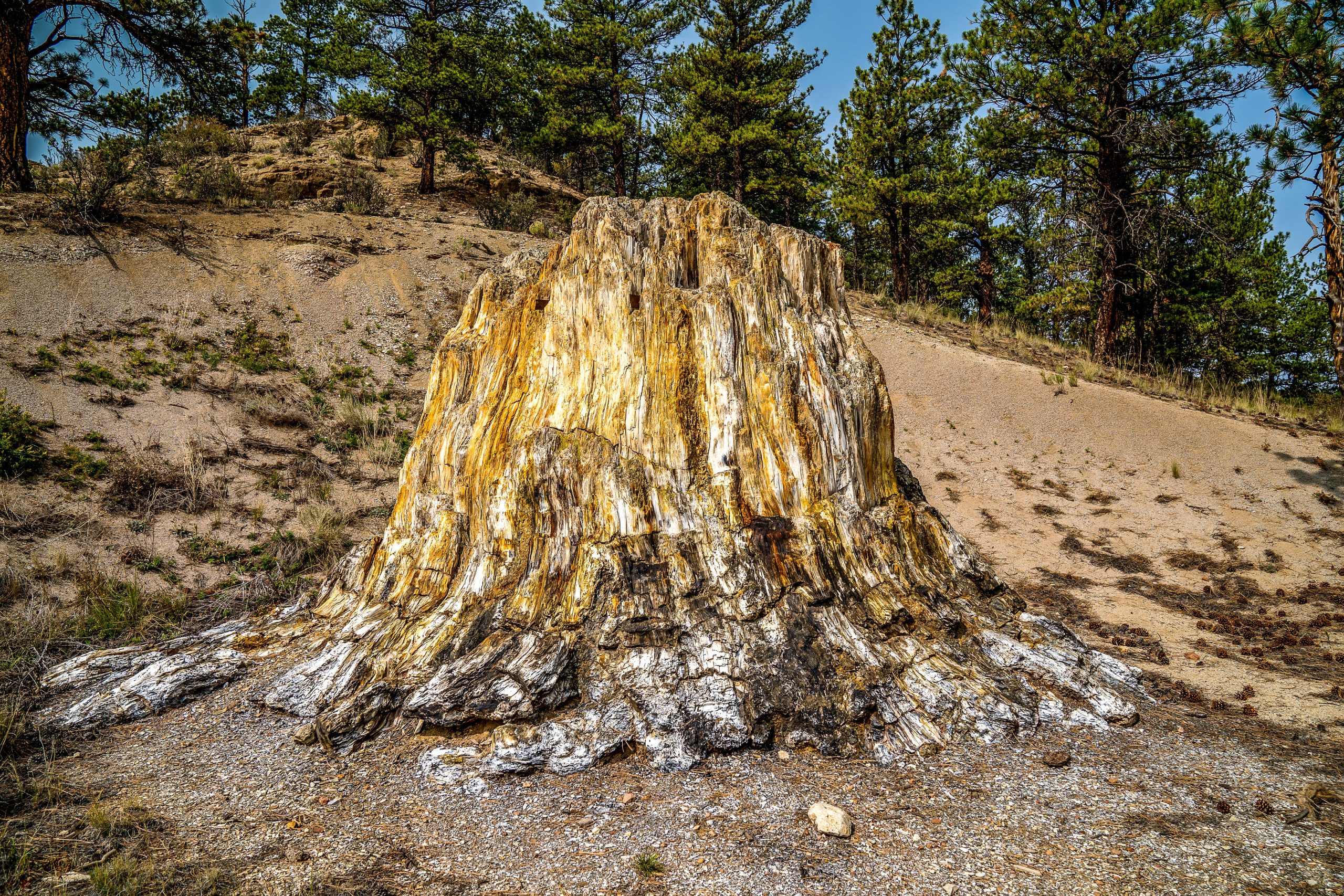 7 Seltsamste archäologische Entdeckungen in Colorado