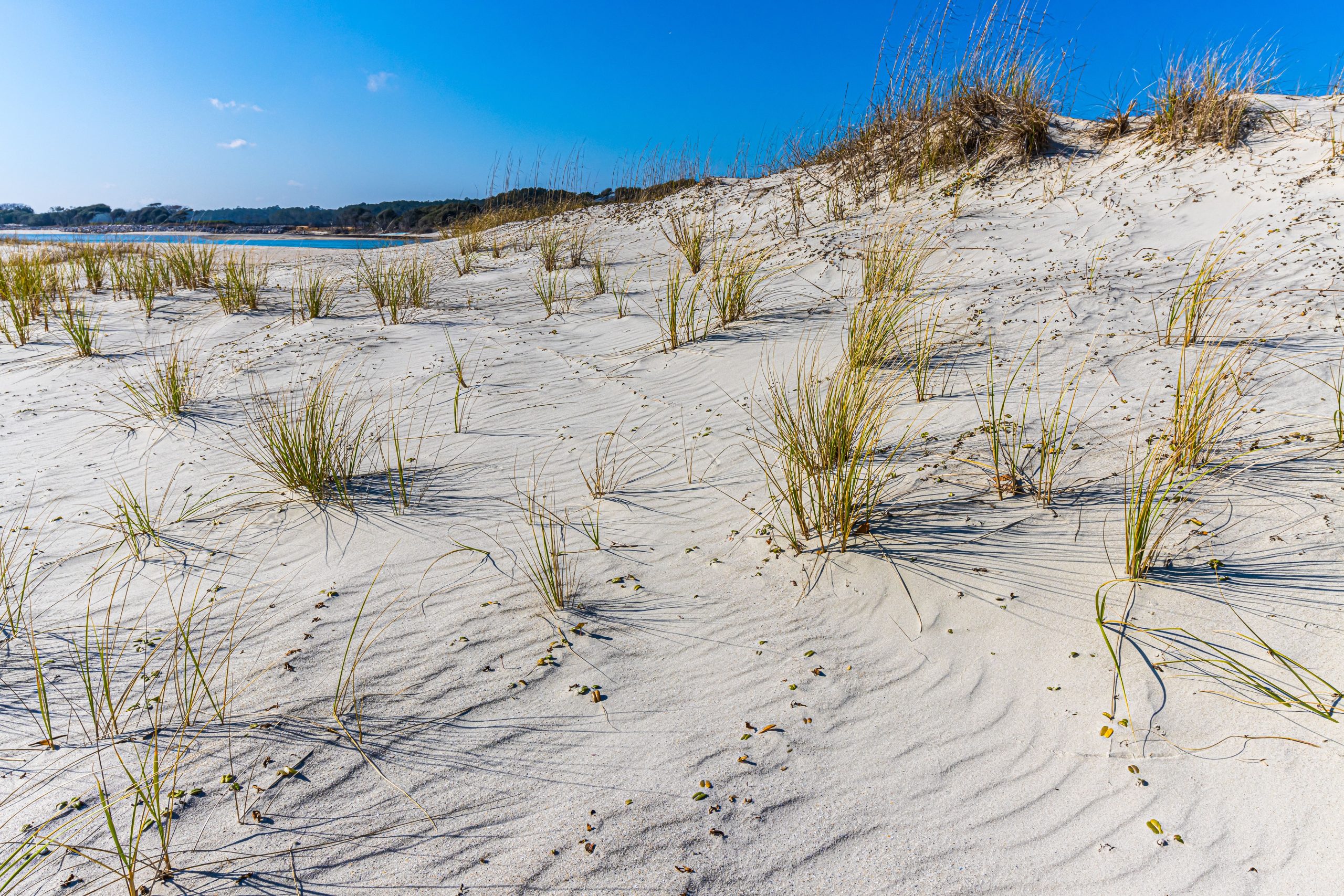Wie die äußeren Banken, aber für Introvertierte: Diese unterschätzte South Carolina Island ist es für ruhige Spring Breakers