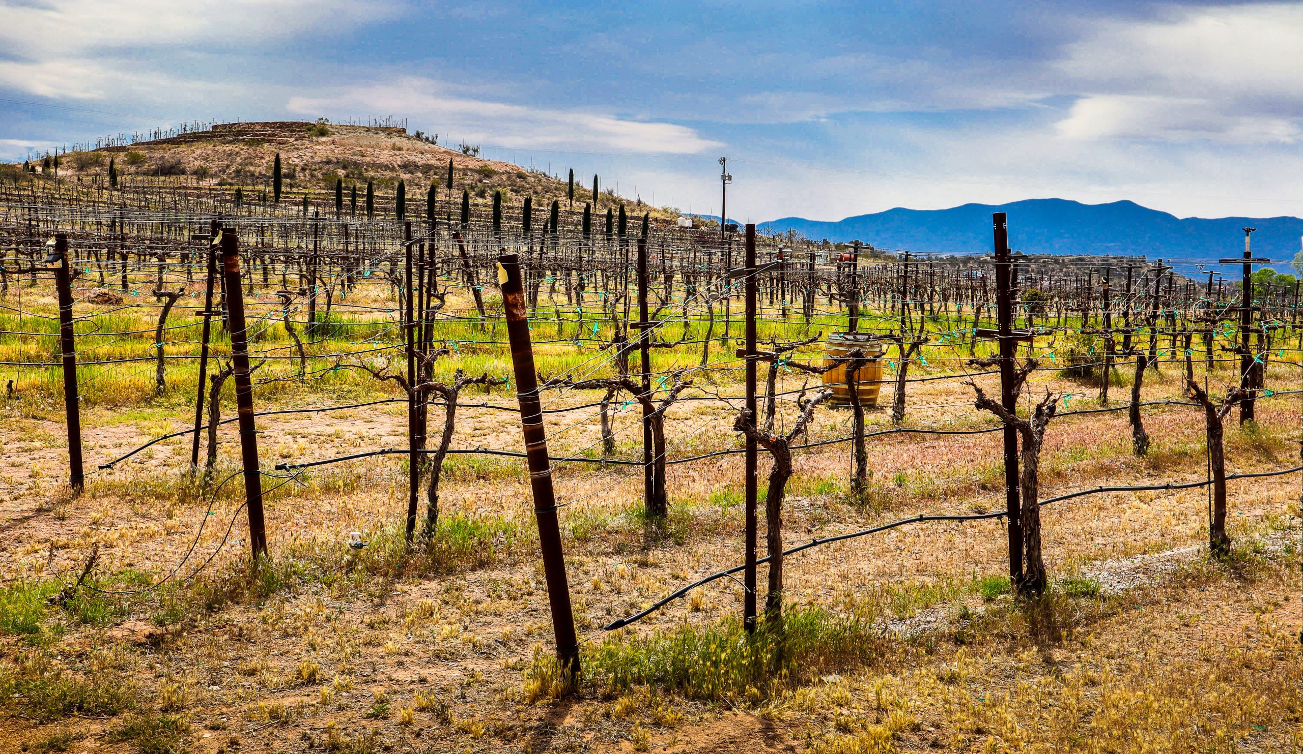 Arizonas „Napa Valley“ ist die am meisten unterschätzte Version von Kalifornien aus einem einzigartigen Grund