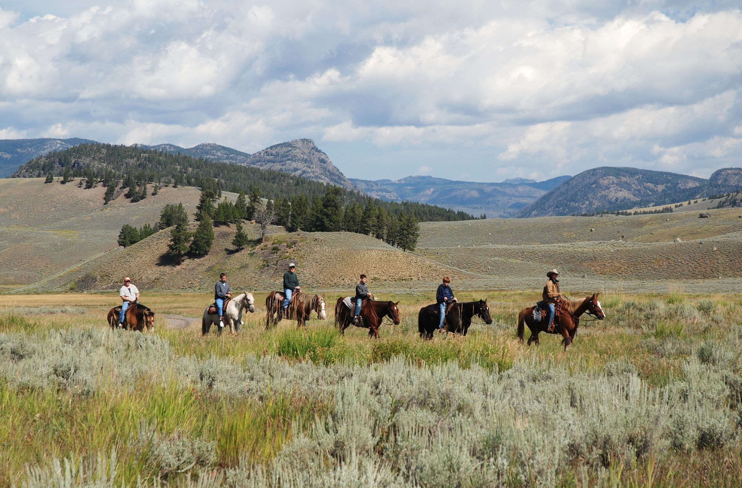 Der geheime Eingang von Yellowstone führt zu den am meisten unterschätzten Sehenswürdigkeiten des Nationalparks
