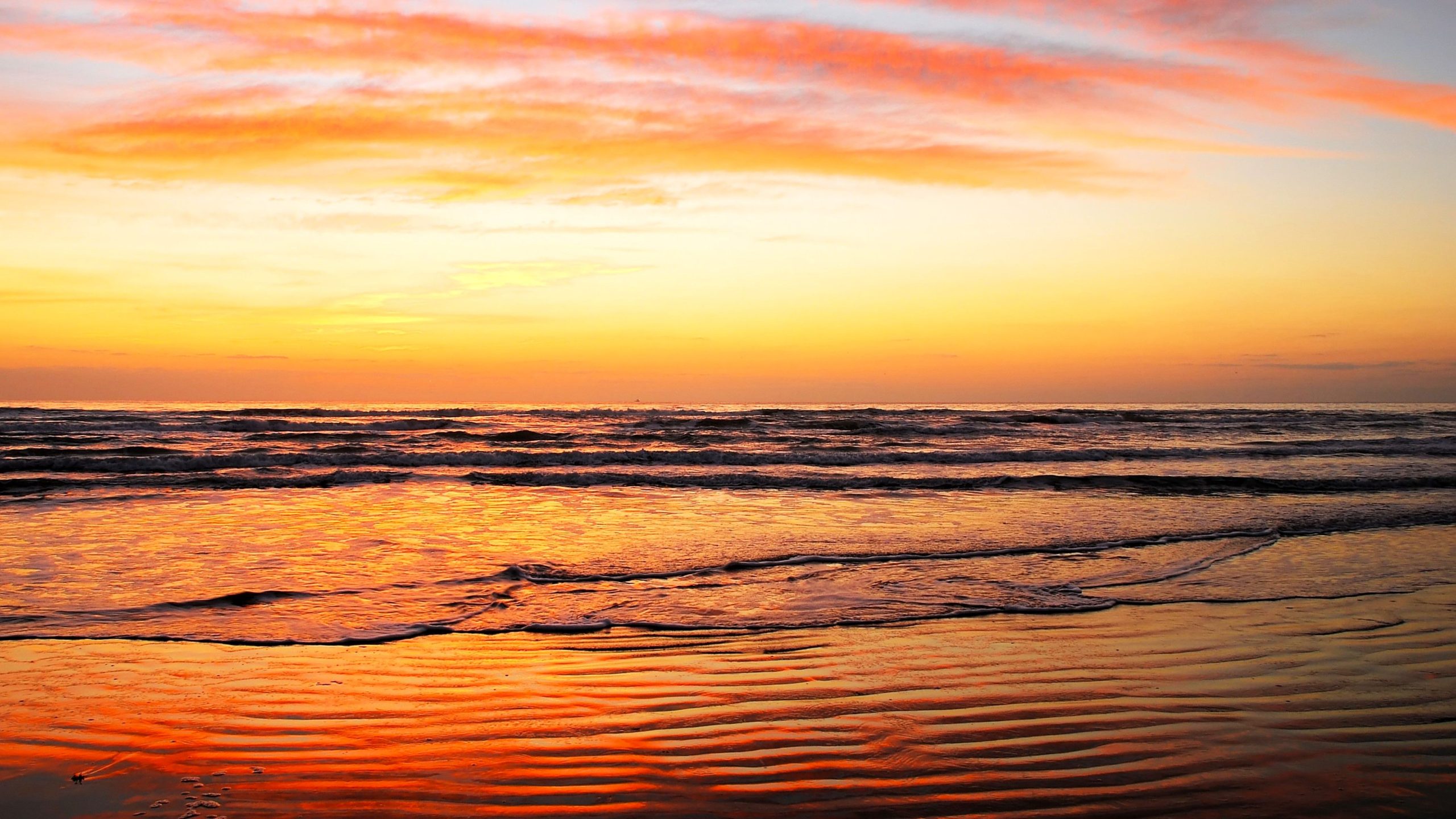 Die „Karibik von Texas“ beherbergt Amerikas am meisten unterschätzte Strände