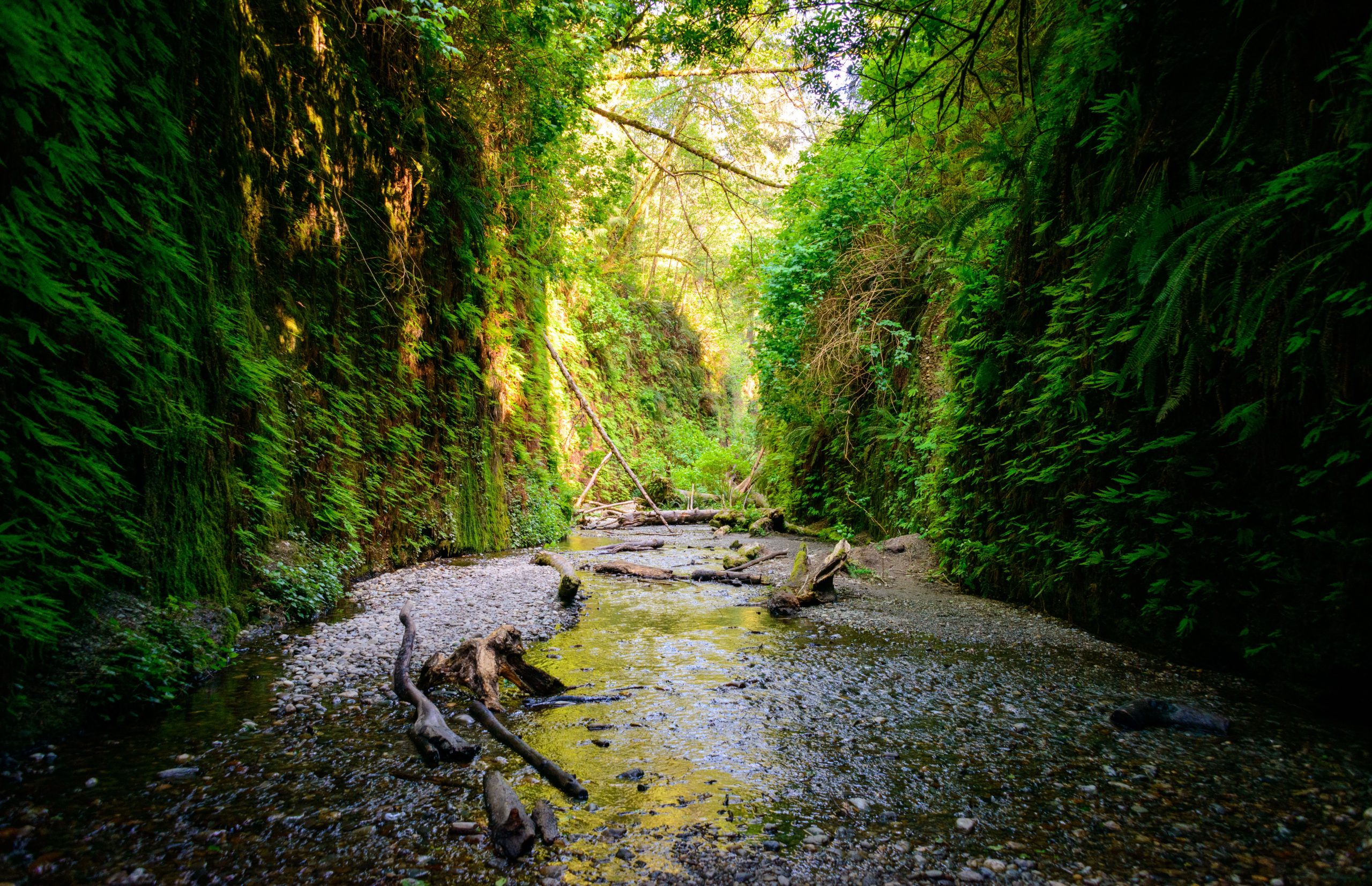 Diese 6 kalifornischen Nationalparks müssen auf Ihrer 2025 