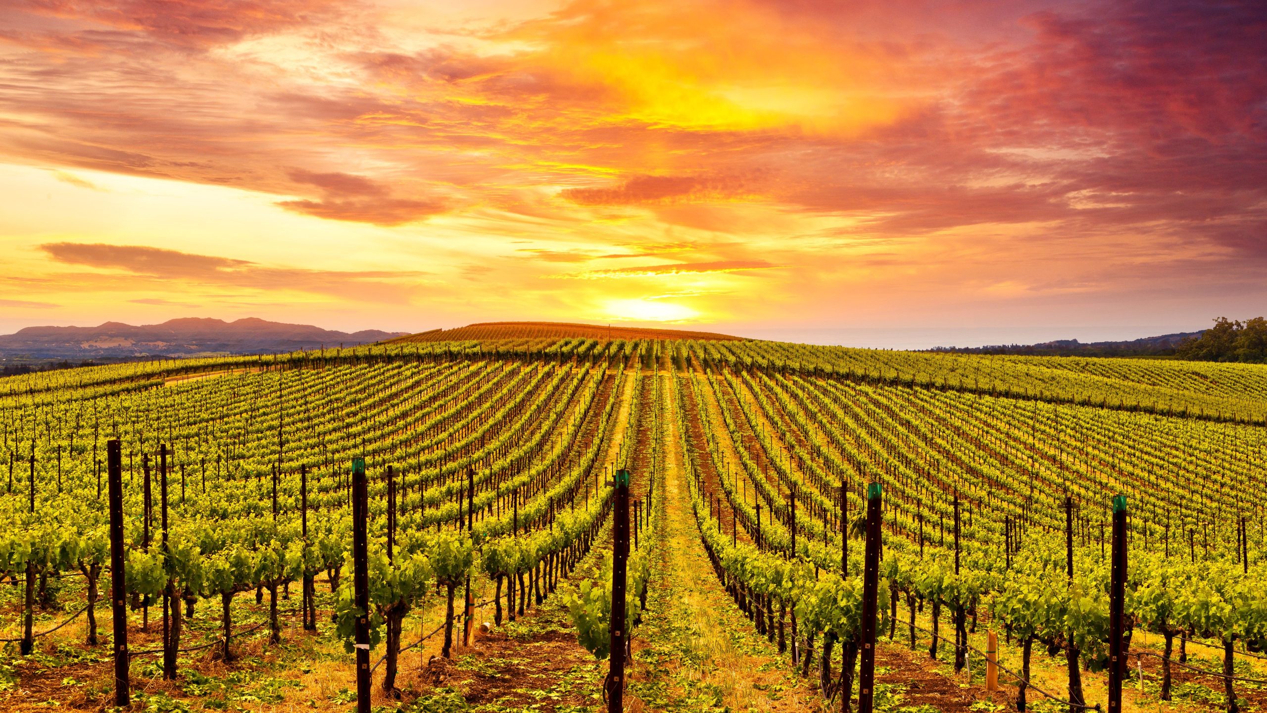 Das „Mittelmeer Kaliforniens“ ist eine der besten Städte, die in Amerika in den Ruhestand treten können