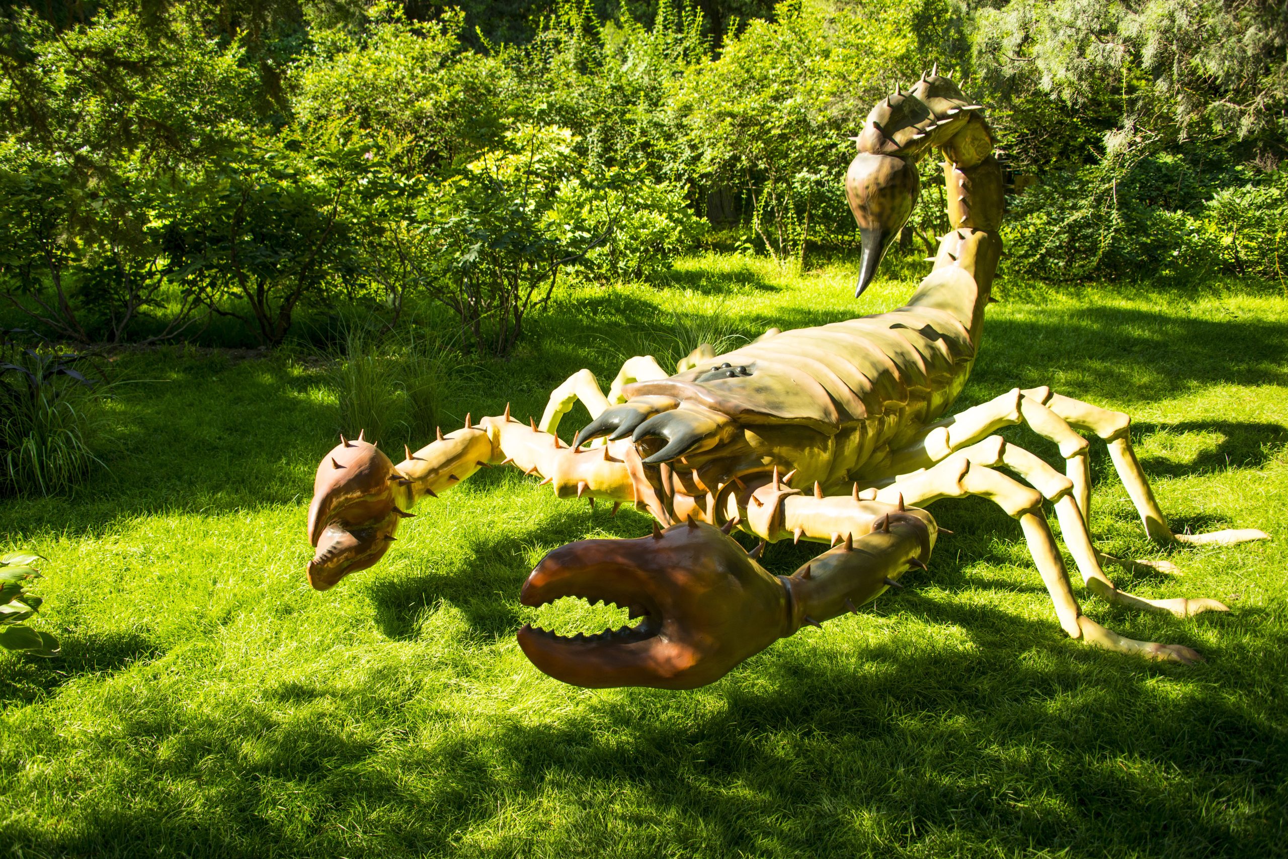 Der neu entdeckte riesige giftige Skorpion ist als atemberaubend alter