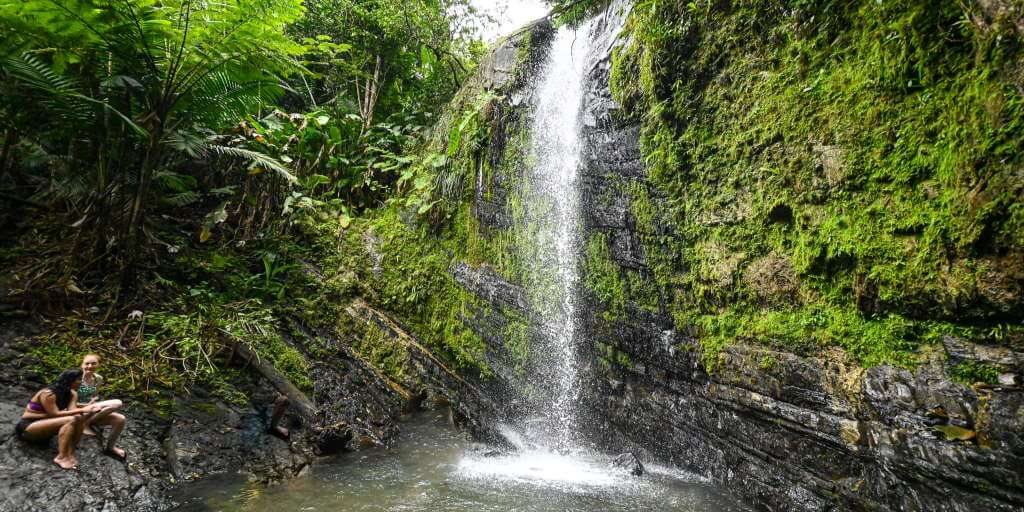 Besuchen Sie den Yunque National Forest in Puerto Rico