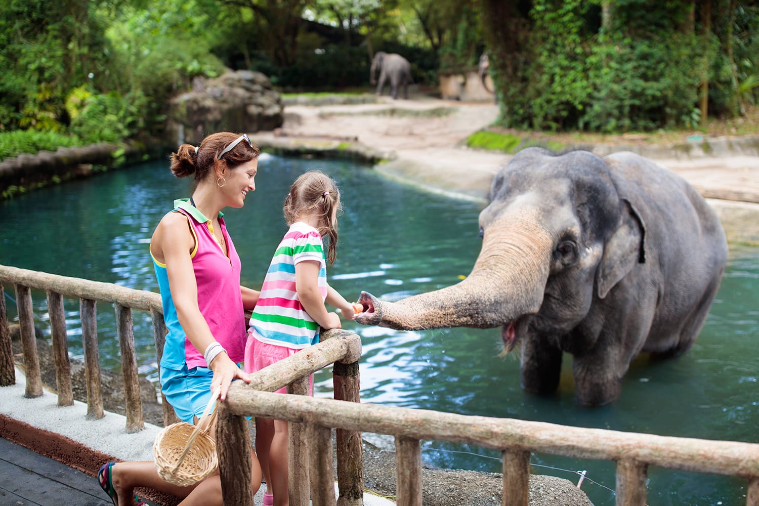 15 beste Zoos der Welt