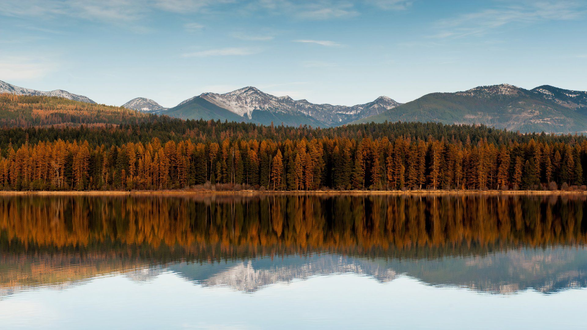 7 Best Herbst Laub Wanderungen in Montana im Jahr 2024