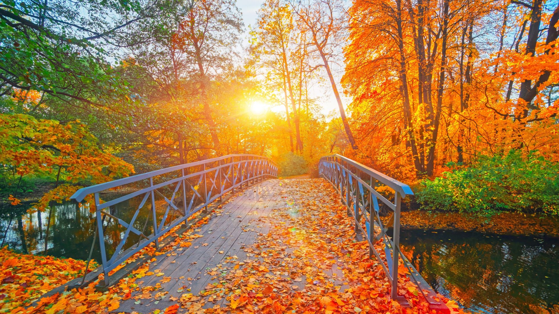 7 Unterschätzte Dinge in New York zu tun