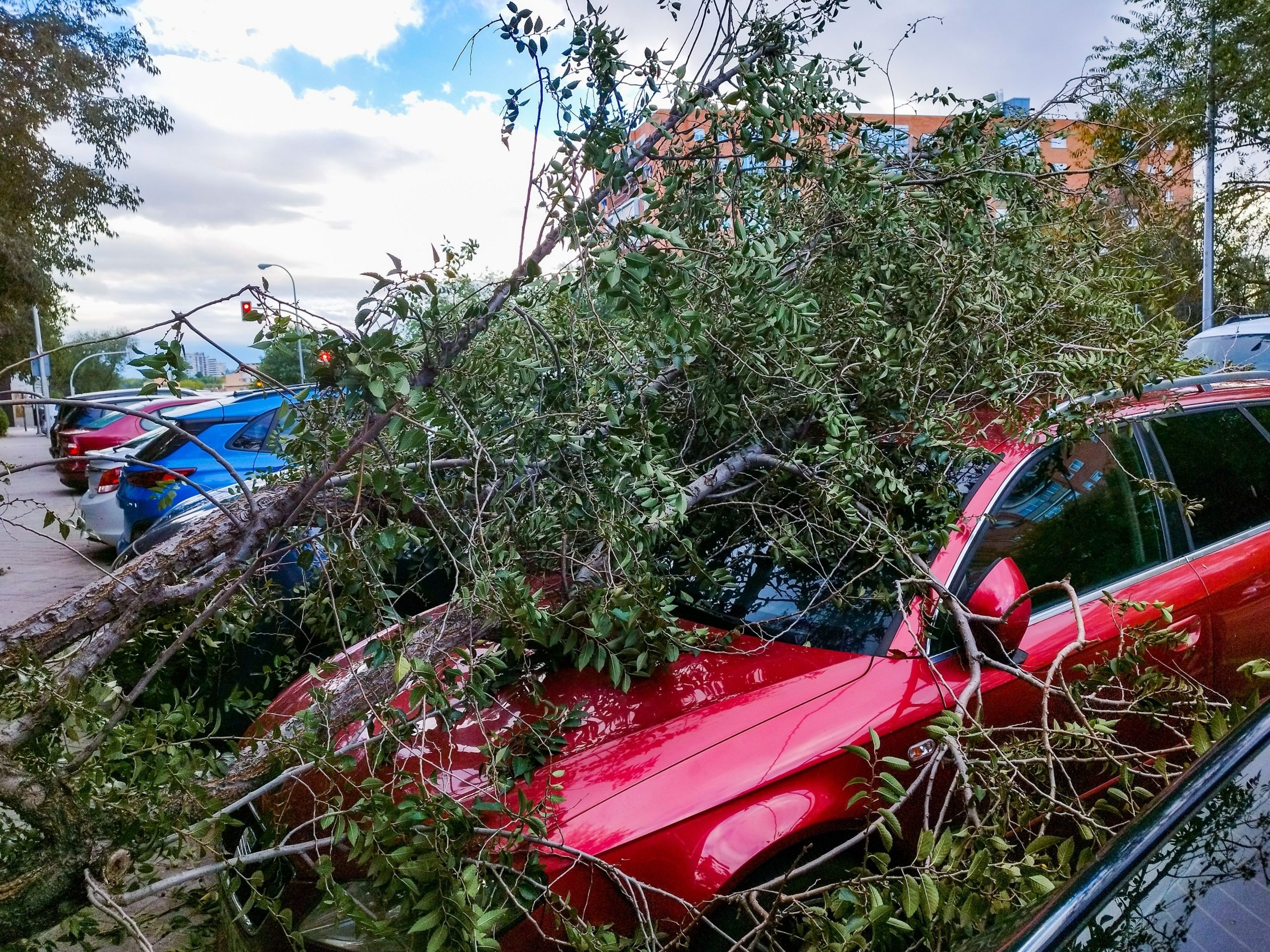 Helene auf einen tropischen Sturm herabgestuft und verbreitet weiterhin beispiellose Schäden