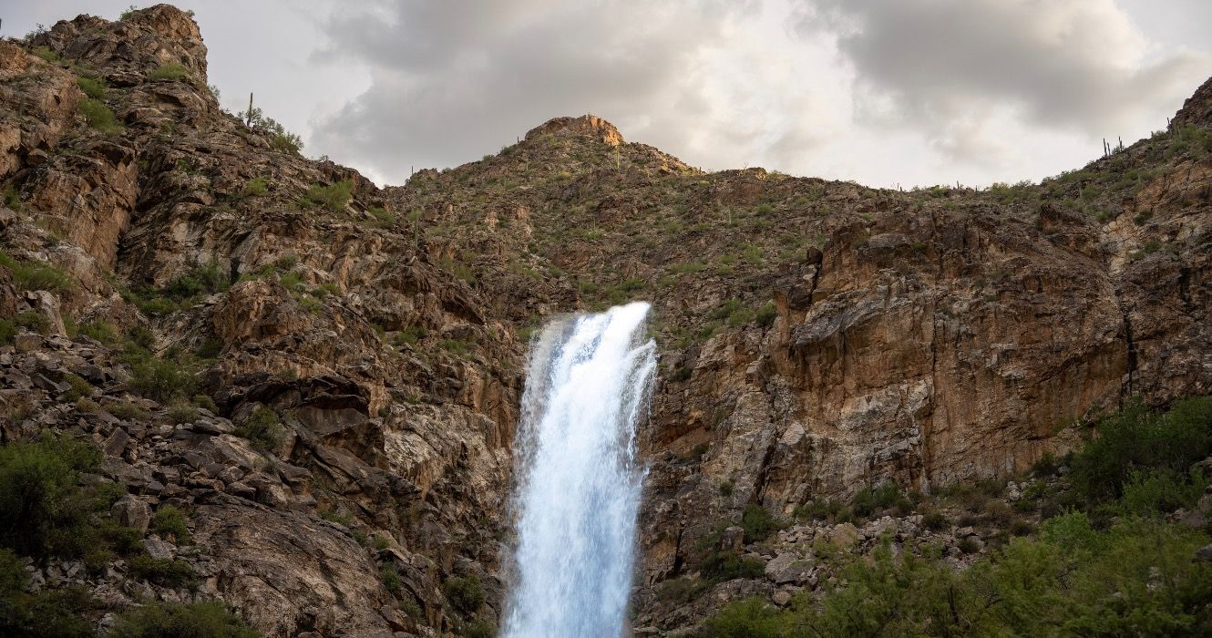 Der richtige Zeitpunkt, um diesen Arizona Trail zu wandern, ist direkt nach dem Regen direkt