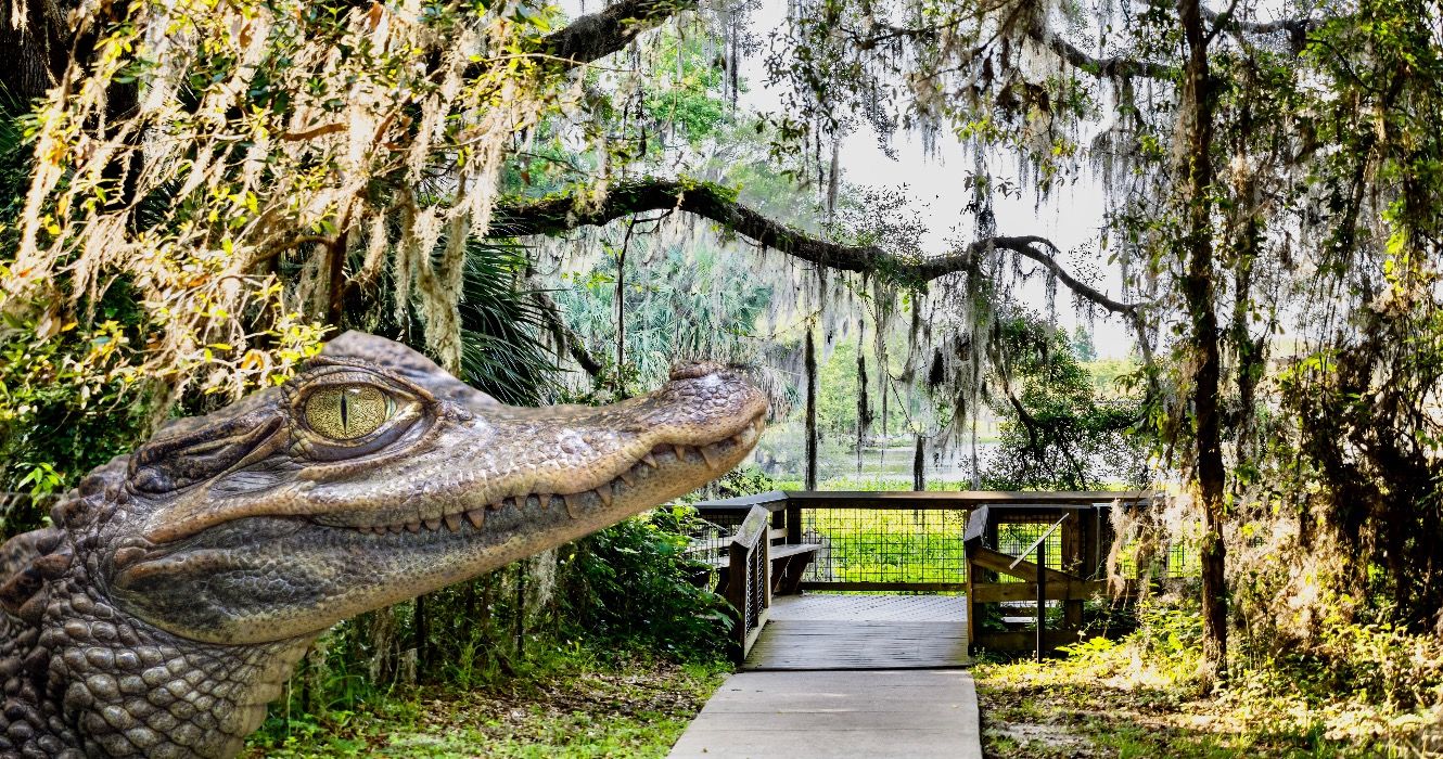 Dieser malerische State Park ist Floridas größtes verborgenes Juwel