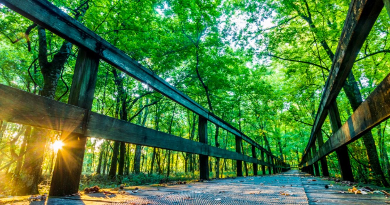 7 Orte, an denen Sie am Natchez Trace Parkway anhalten können