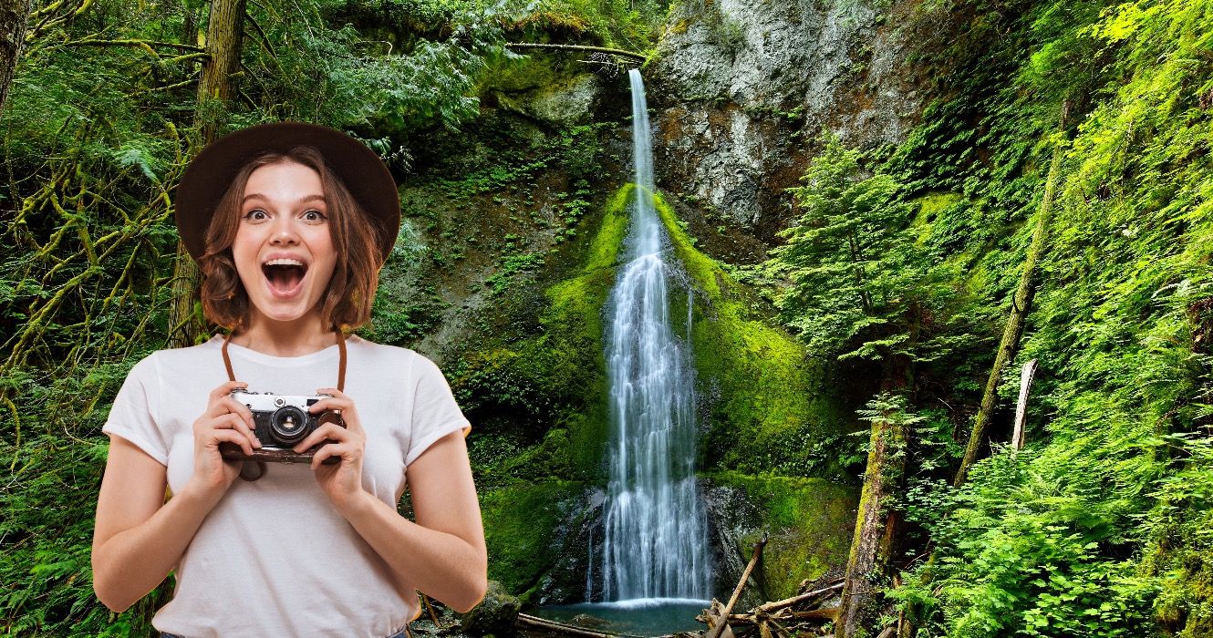 Machen Sie diesen Sommer eine kurze Reise vom Seattle zum Olympischen Nationalpark