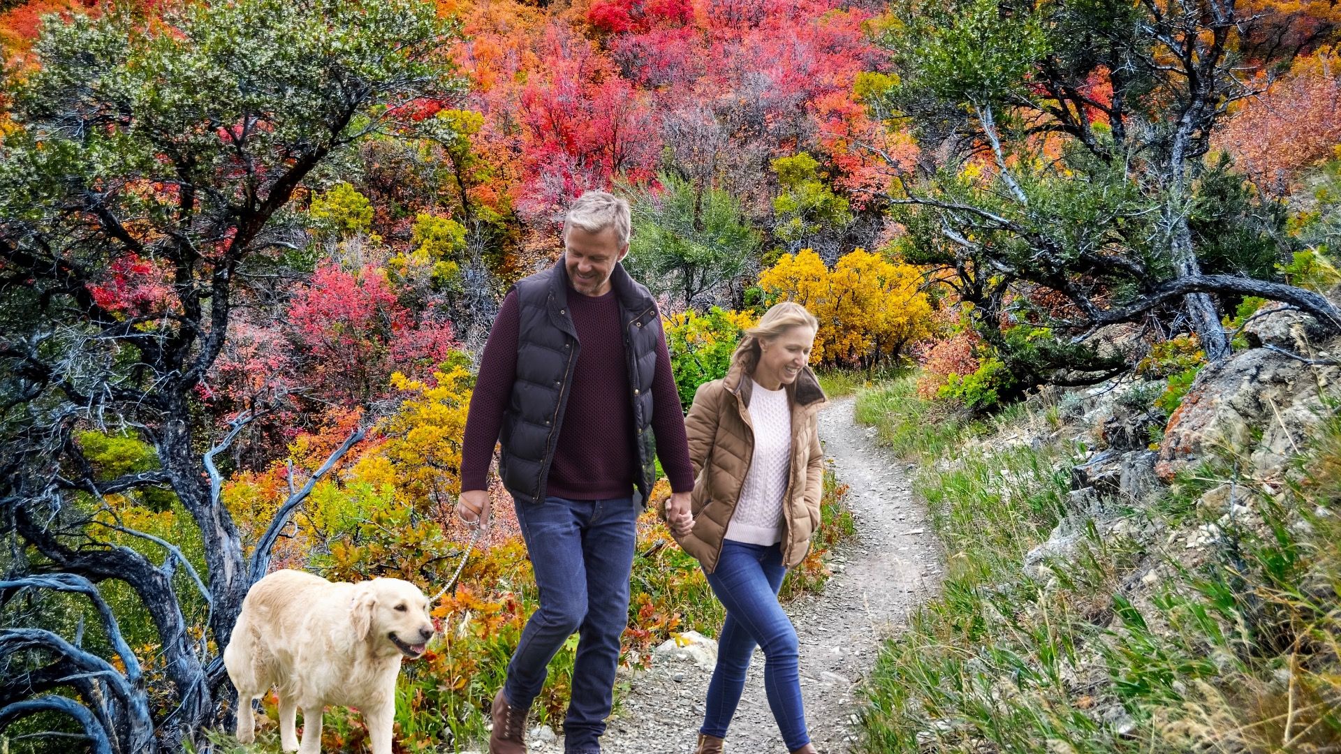 Überspringen Sie Salt Lake City und schauen Sie sich stattdessen Millcreek, Utah an