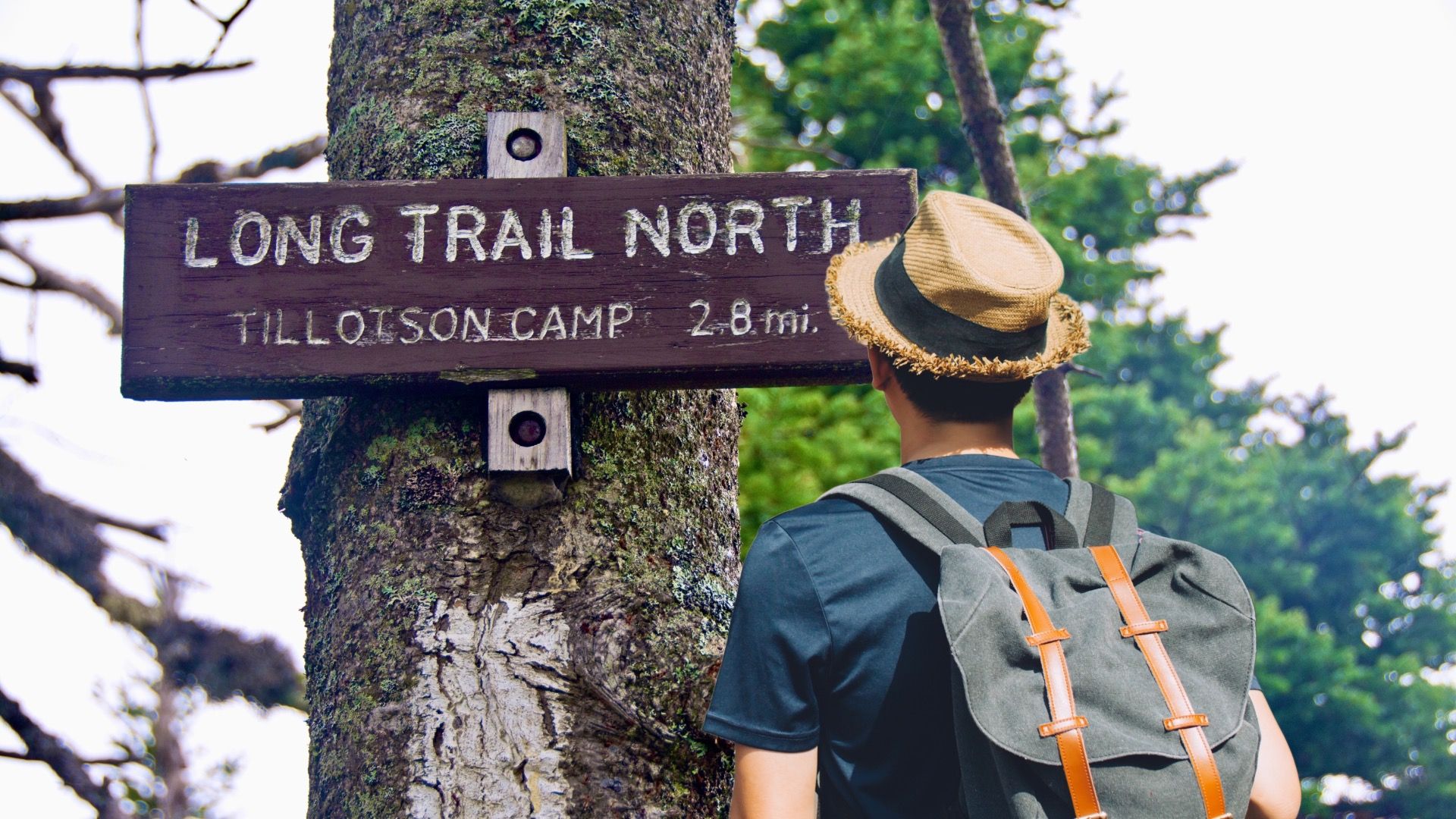 In Vermonts längster Pfad beherbergt auch sein Verschwinden des Wanderers