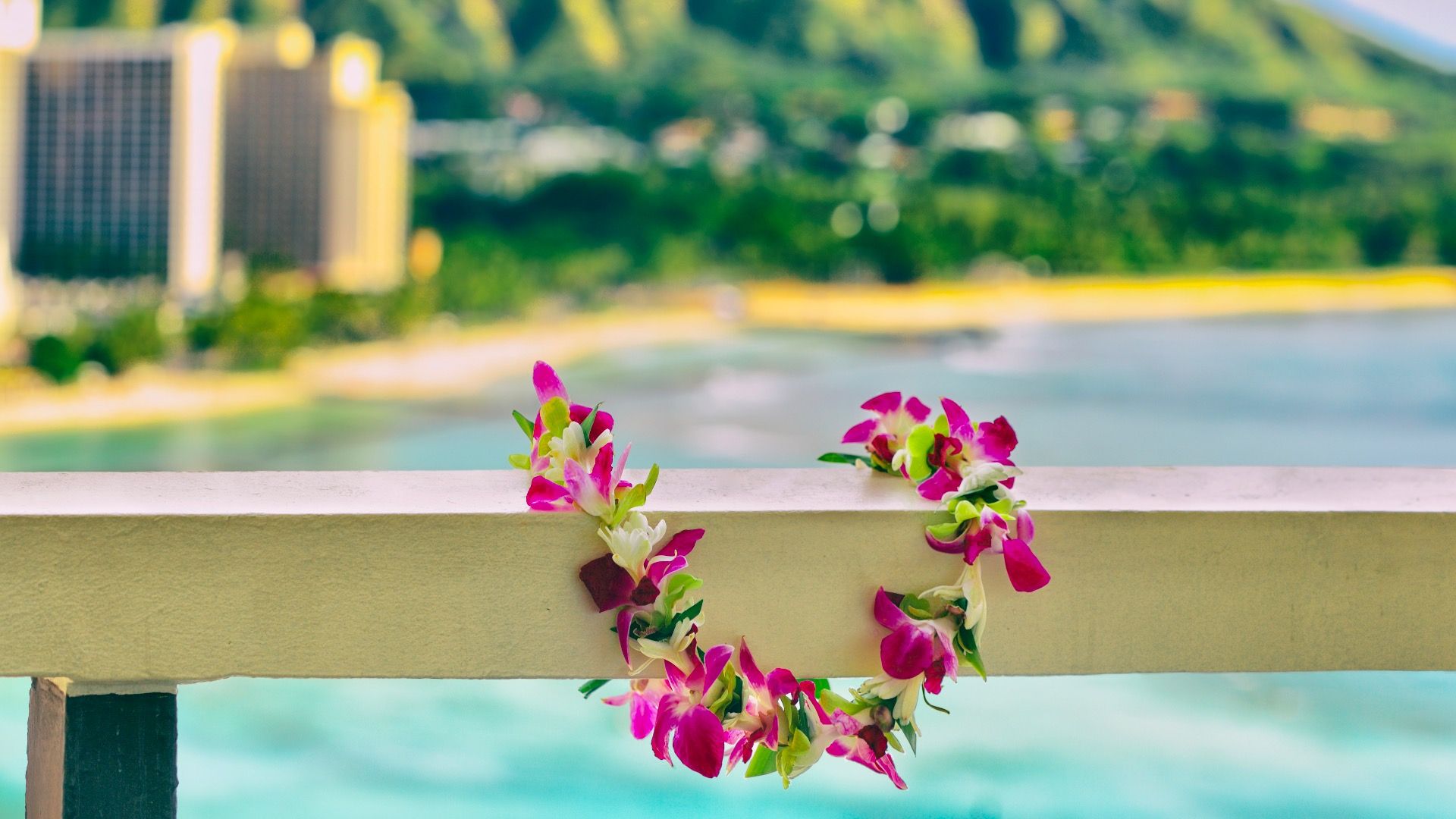 Nehmen Sie diesen mit Blumen gefüllten Roadtrip und wandern Sie in Honolulu