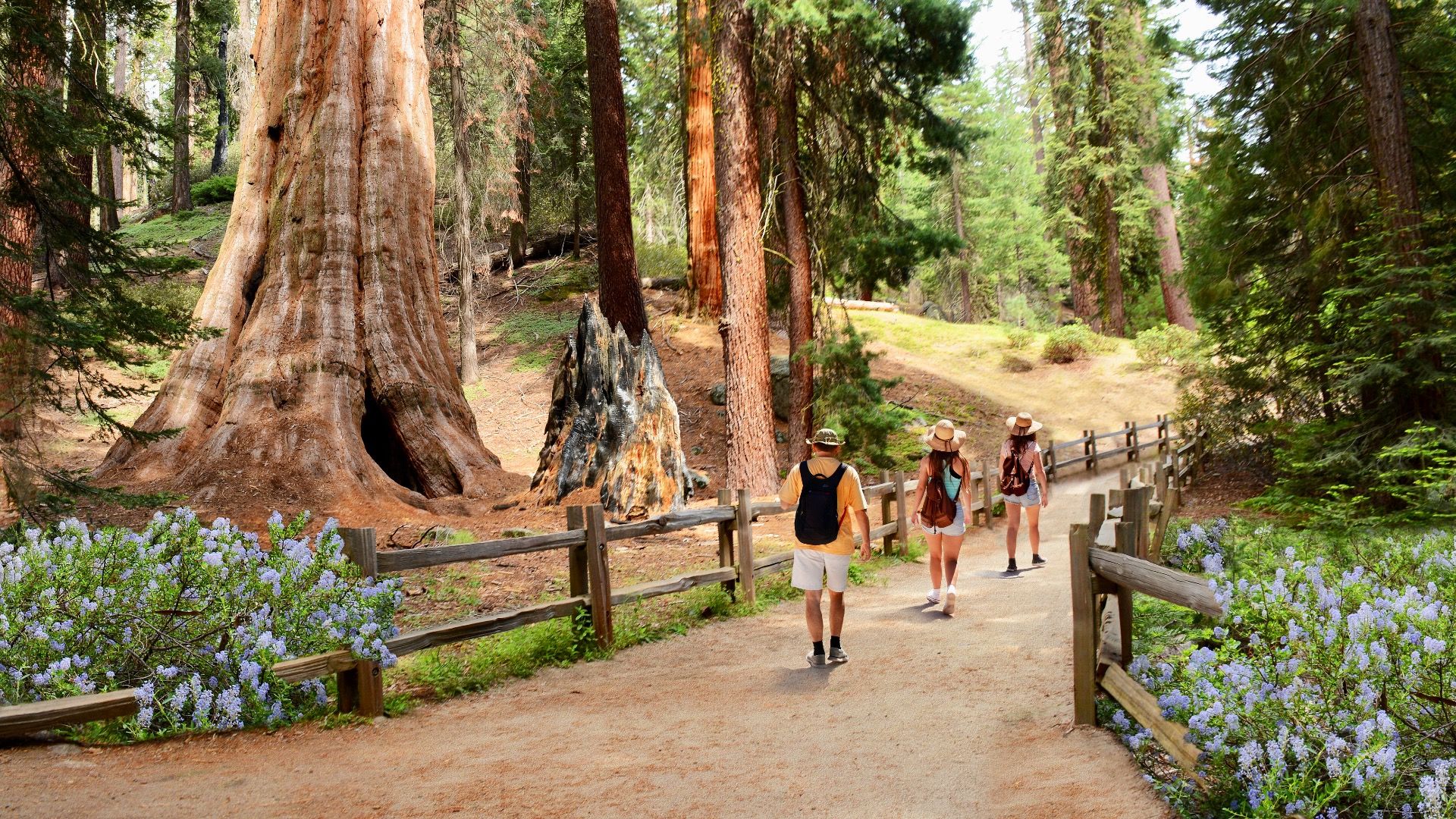 Kalifornische Nationalparks wurden nach Anzahl der Besucher eingestuft