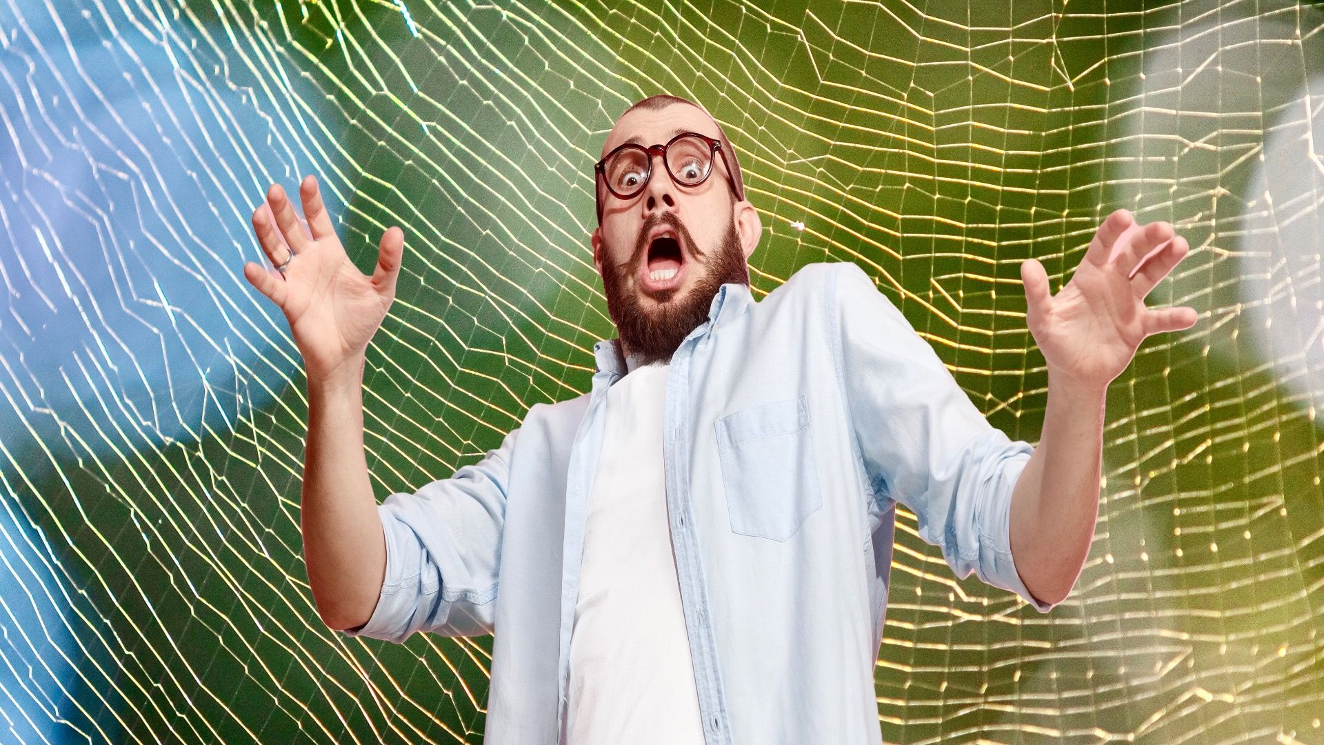 Diese gruselige fliegende Spinne übernimmt New England