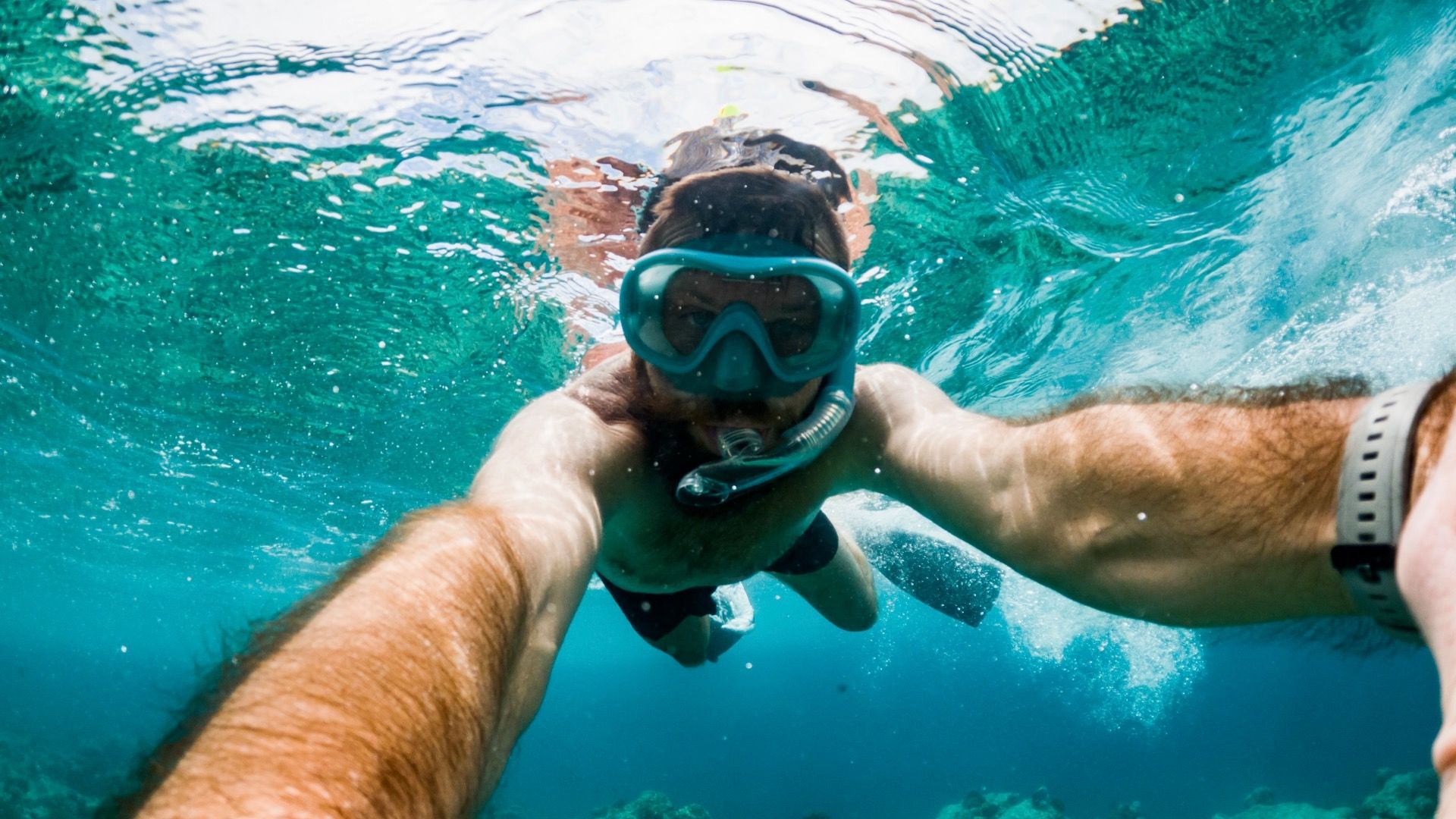 Sie können in diesen 7 Nationalparks schnorcheln