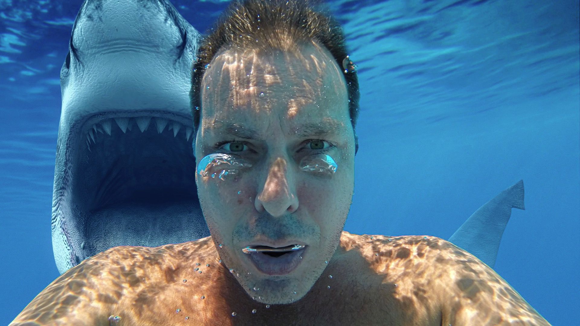 7 Überraschende Orte, die Sie nicht erwarten würden, Haie zu finden (aber tun)