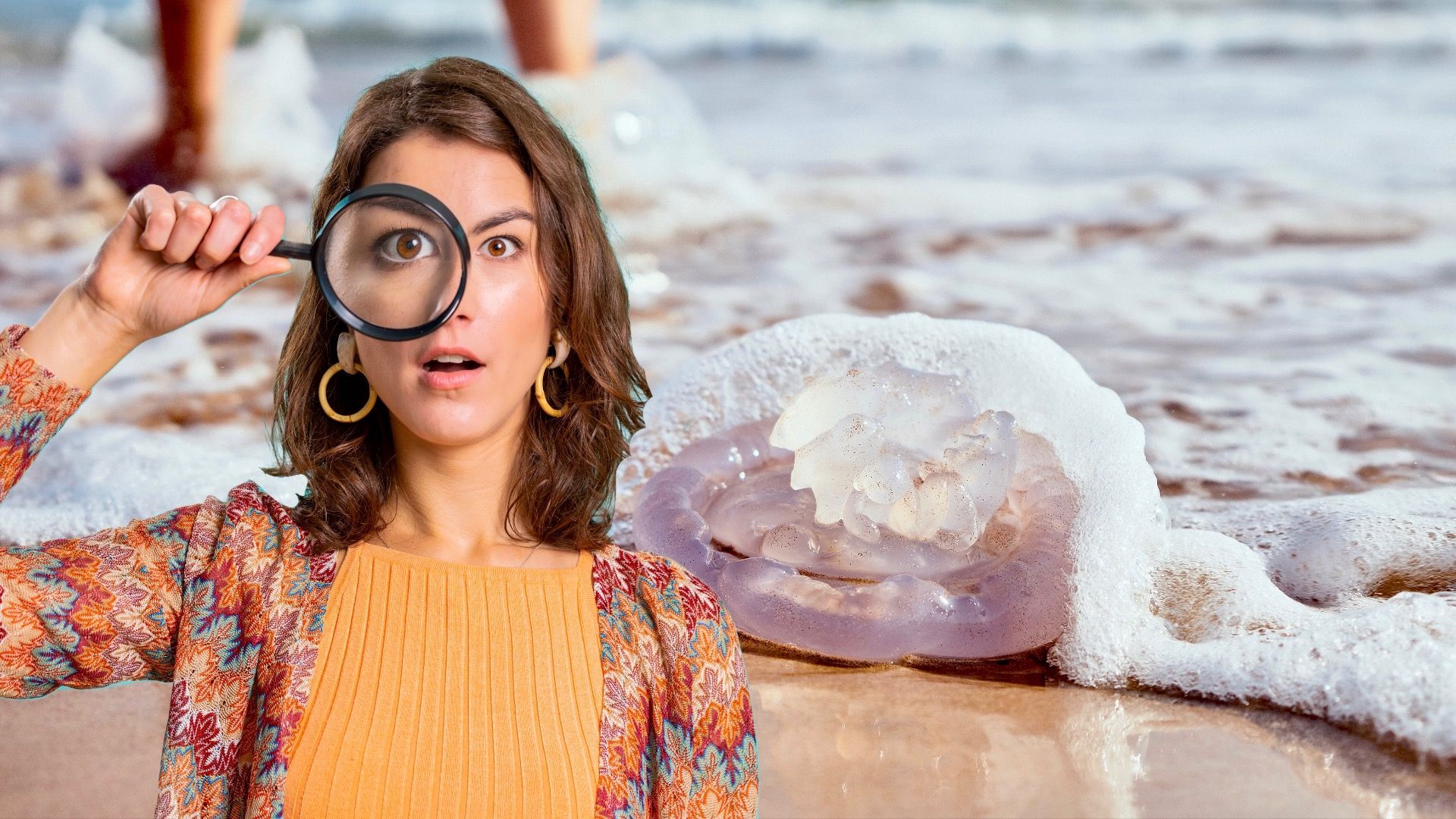 Diese Strände haben die meisten Quallenbegegnungen in den USA