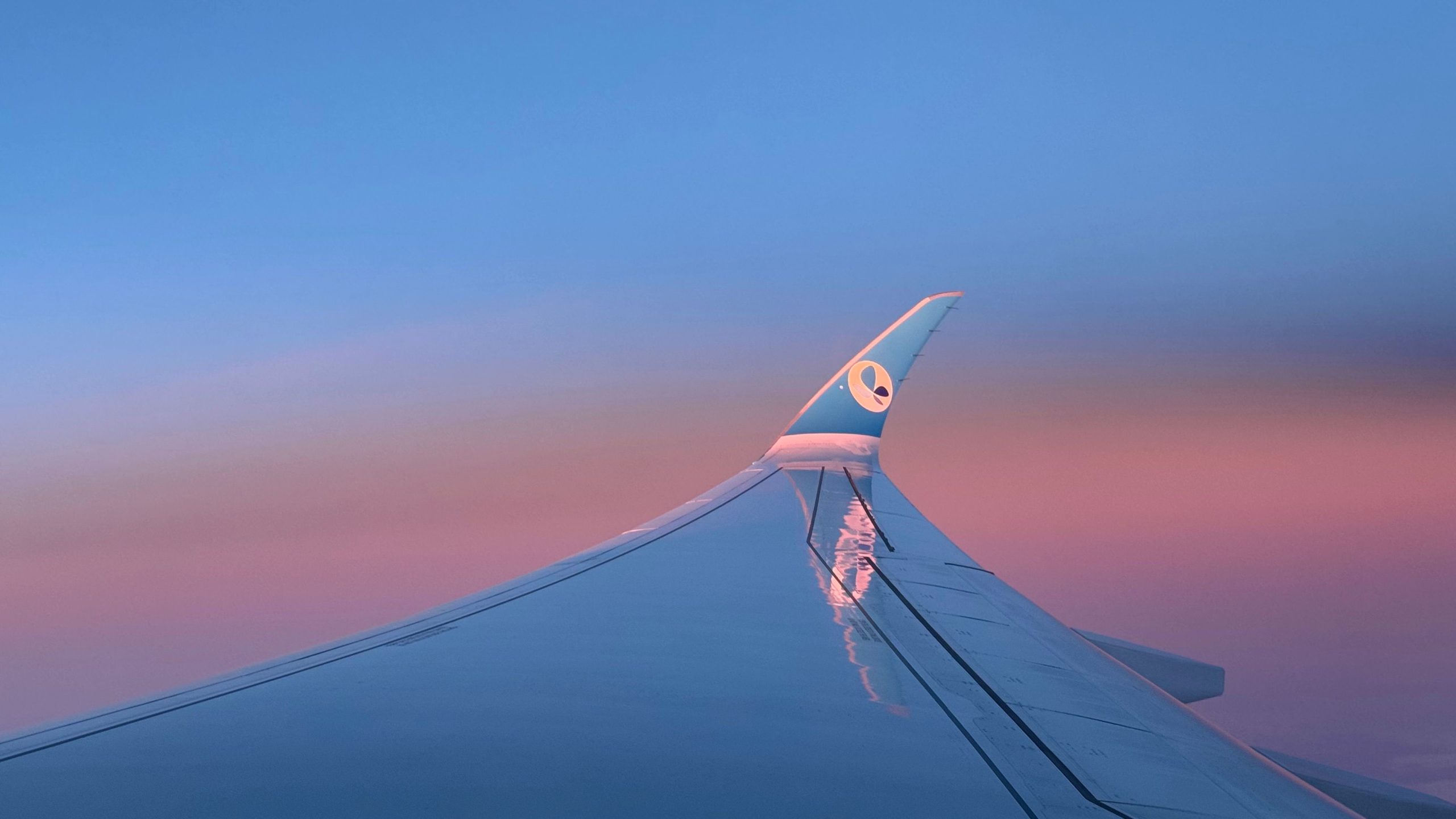 Flugbewertung: Französische Bienen Airbus A350 in Eco Blue von Paris Orly nach Newark
