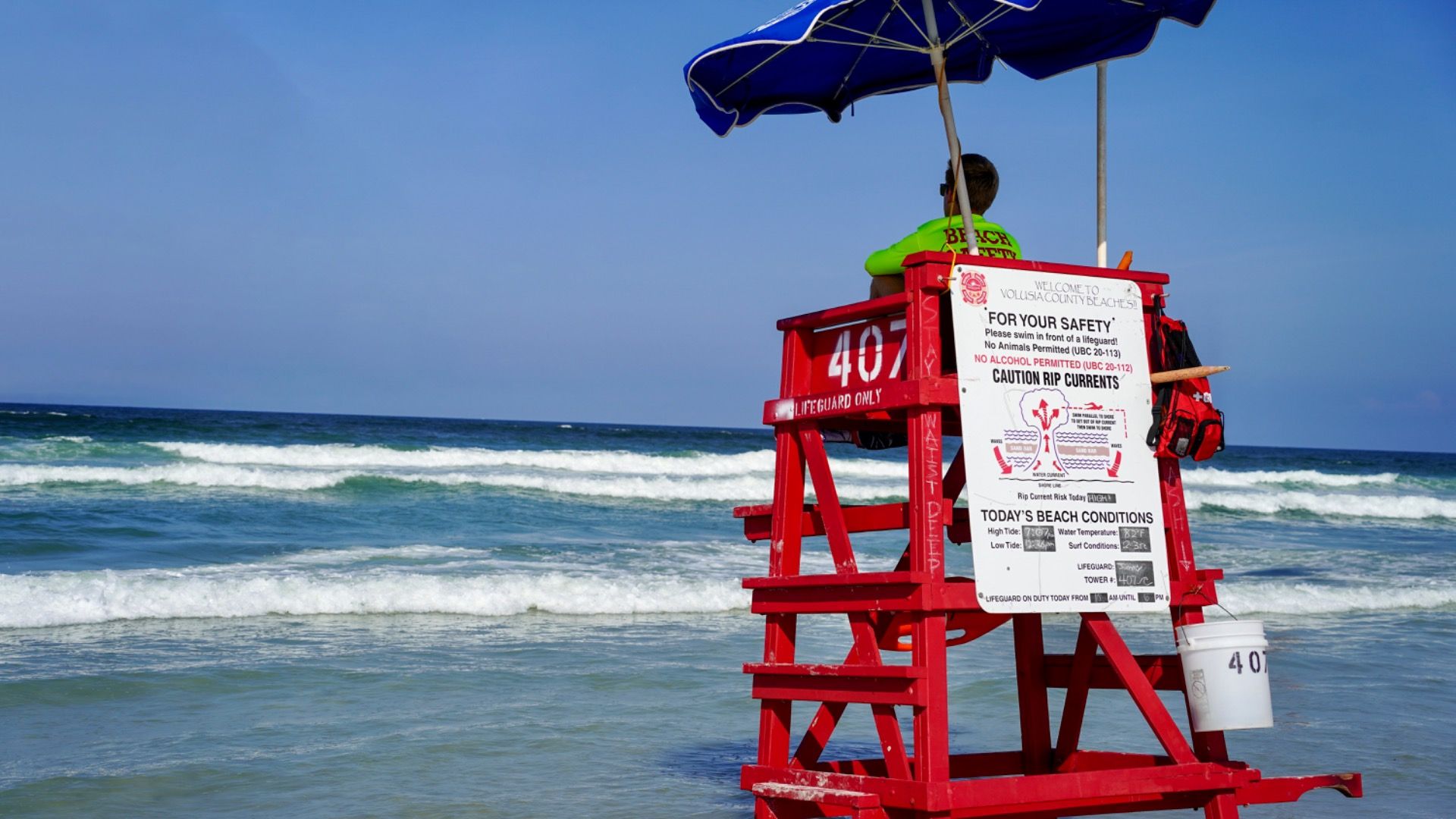 Dieser Staat hat laut Forschung die am meisten gemeldeten Haiangriffe