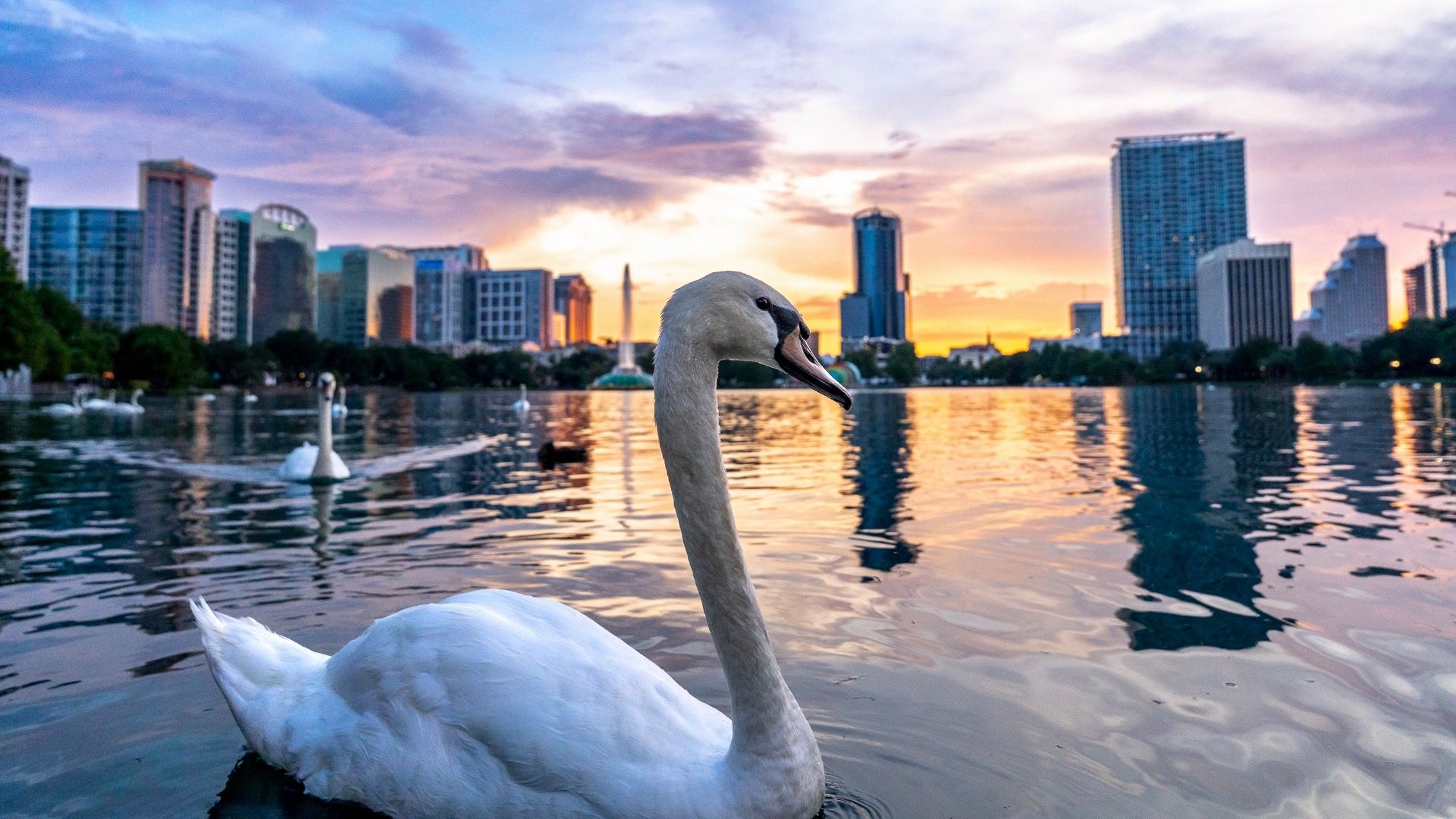 7 billige lange Wochenendausflüge aus Miami für unter 500 US 