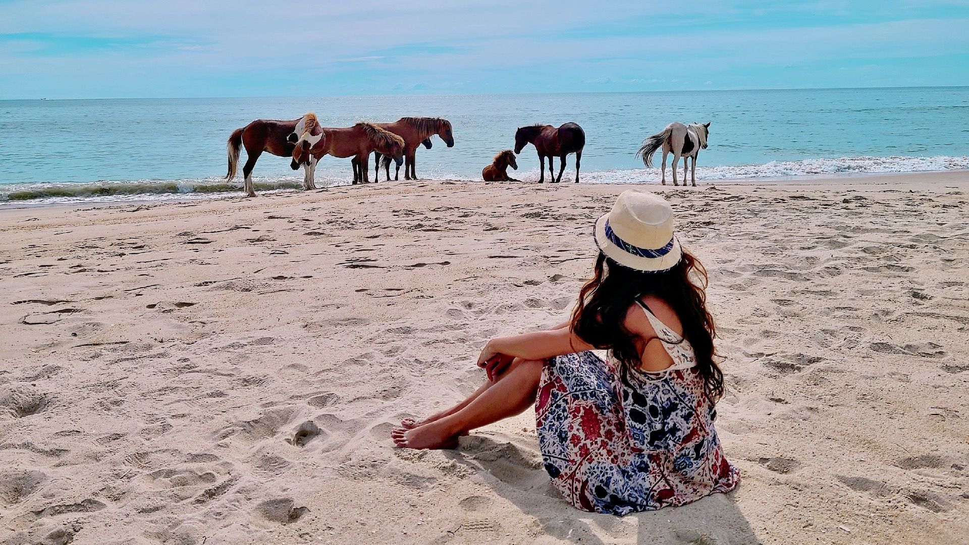 7 Parks in den USA, die jeder Wildtierbegeisterte besuchen sollte